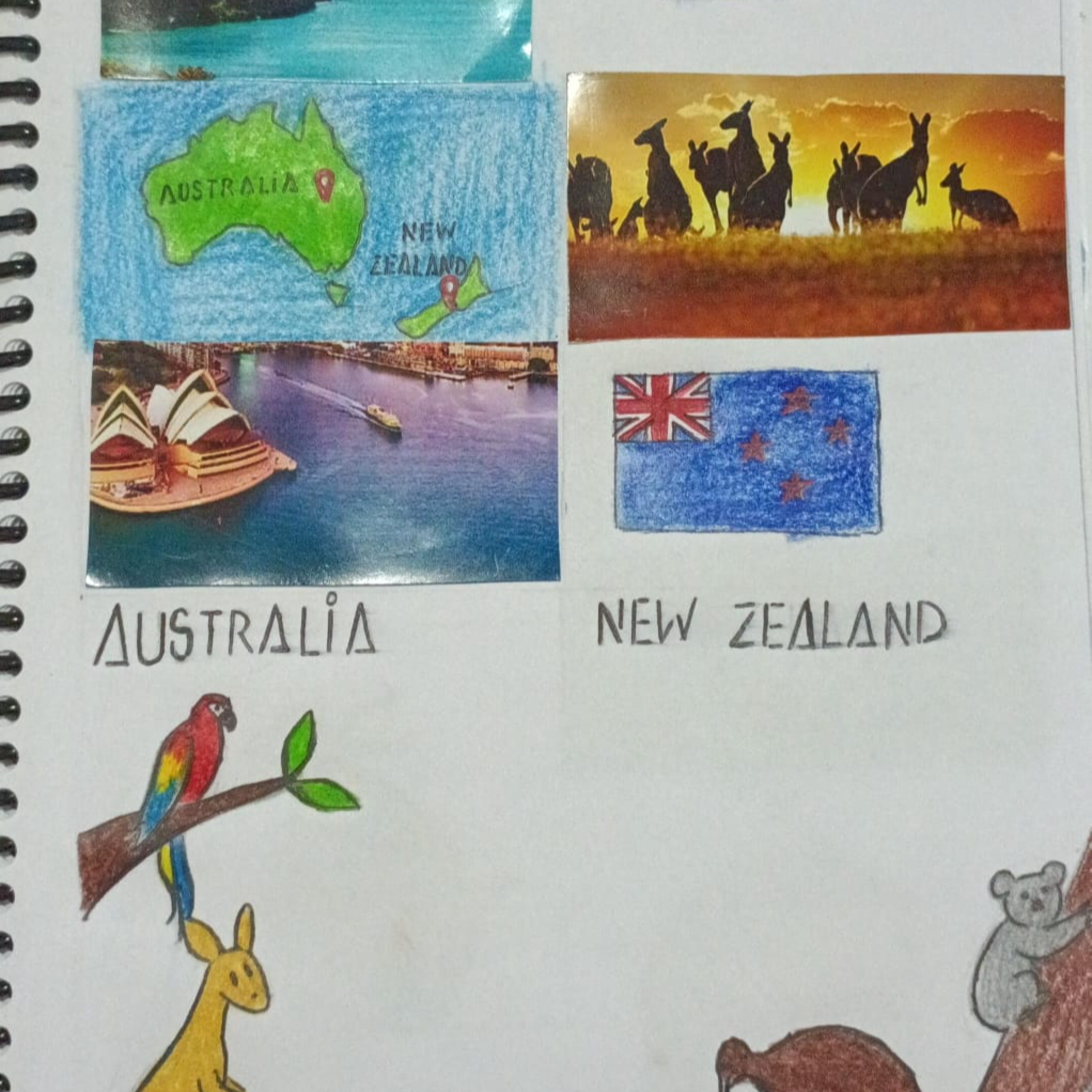 Fanzine Project Podcast - Australia and New Zealand episode artwork
