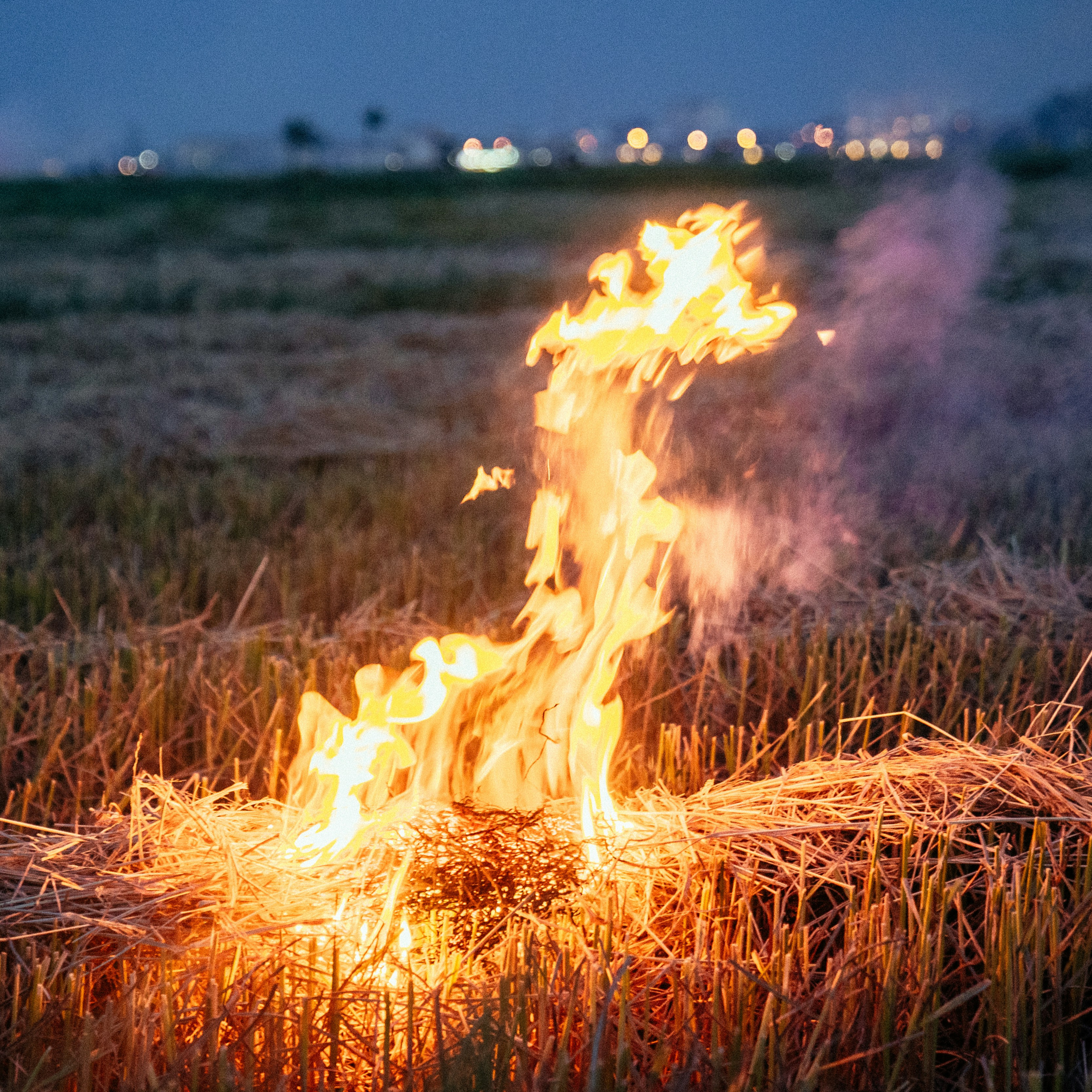 Air Health Our Health