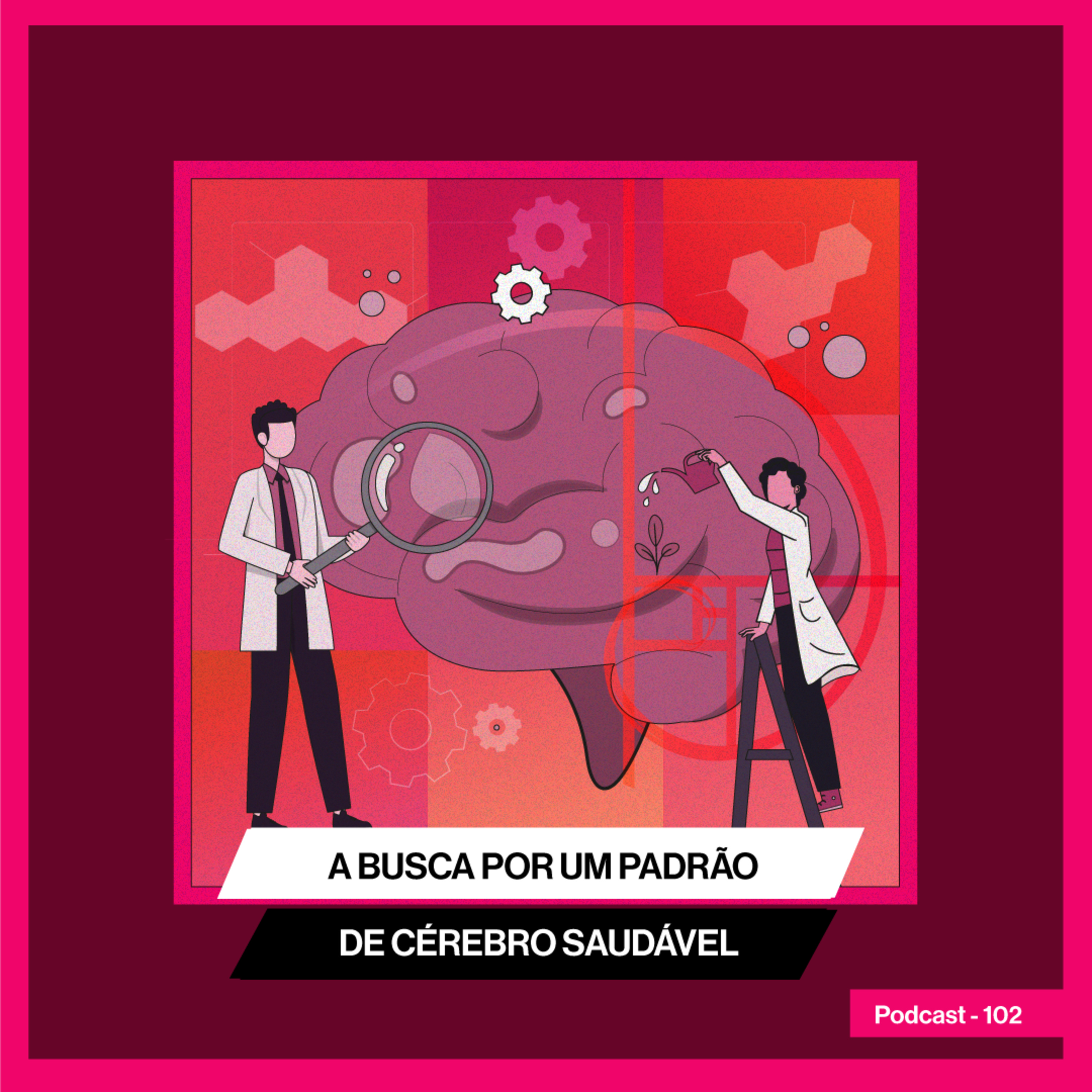 A busca por um padrão de cérebro saudável