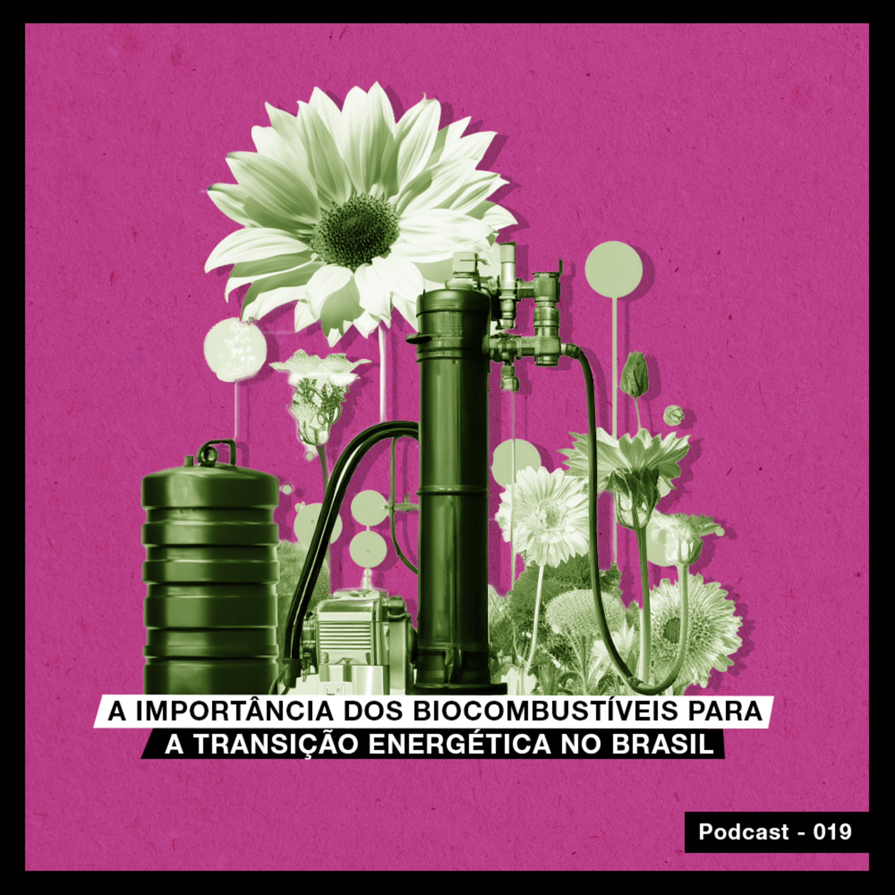 A importância dos biocombustíveis para a transição energética no Brasil