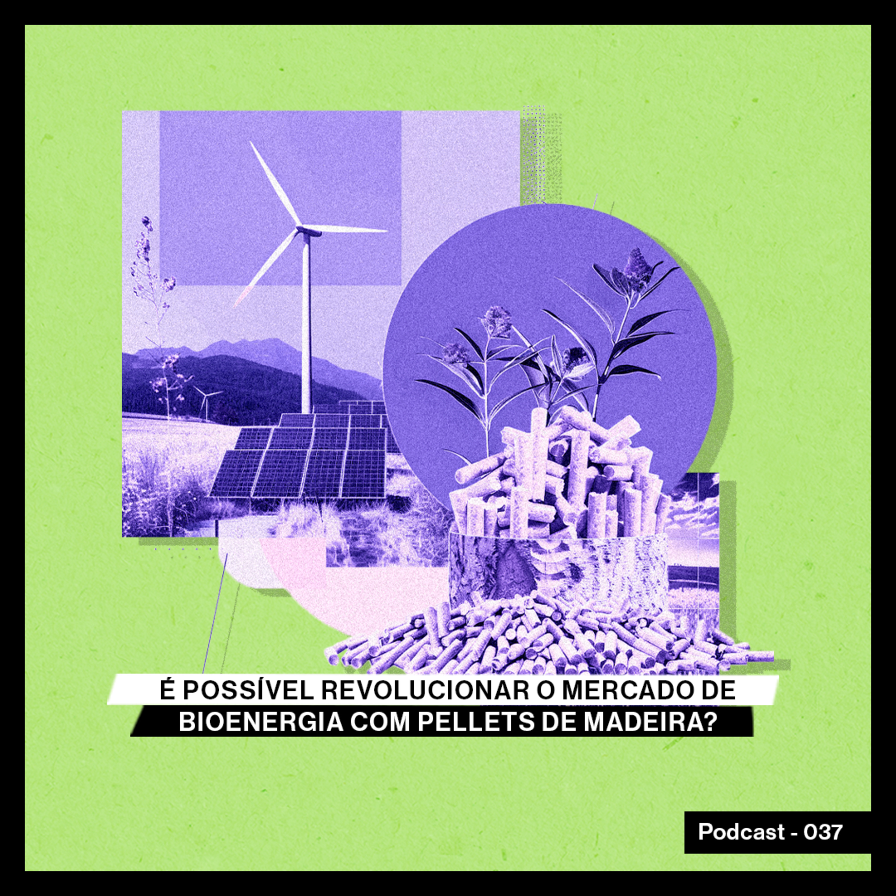 É possível revolucionar o mercado de bioenergia com pellets de madeira?