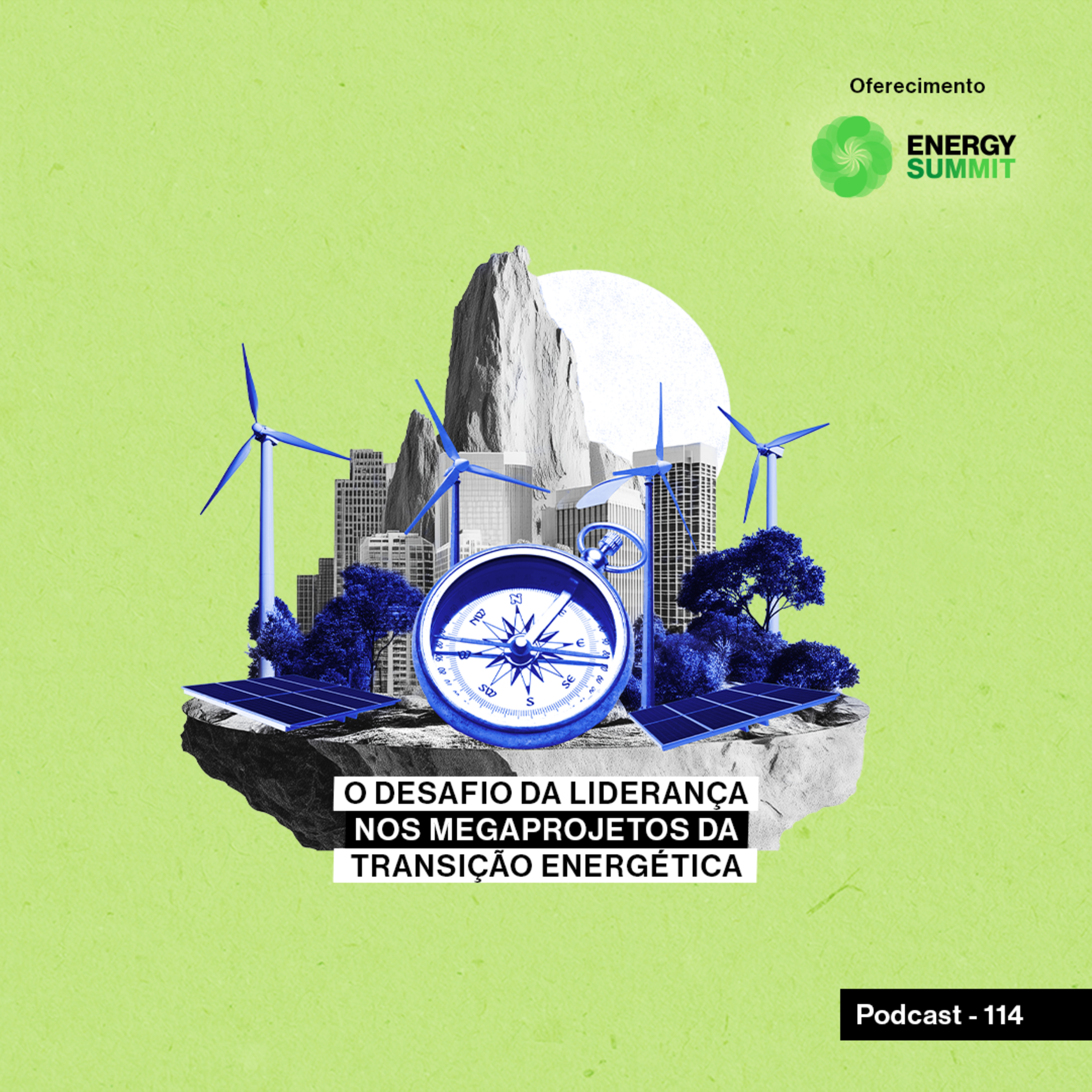 O desafio da liderança nos megaprojetos da transição energética