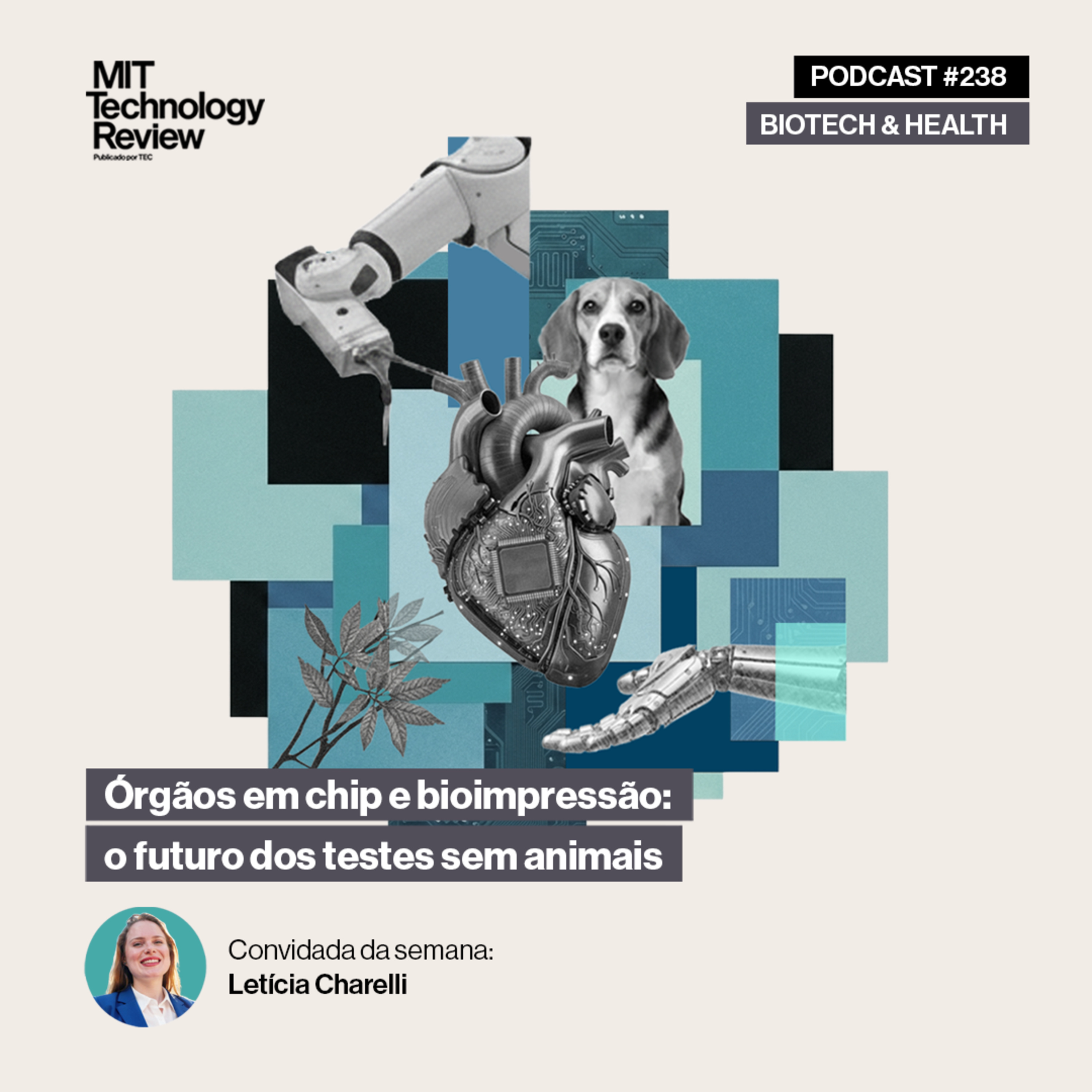 MIT Technology Review Brasil