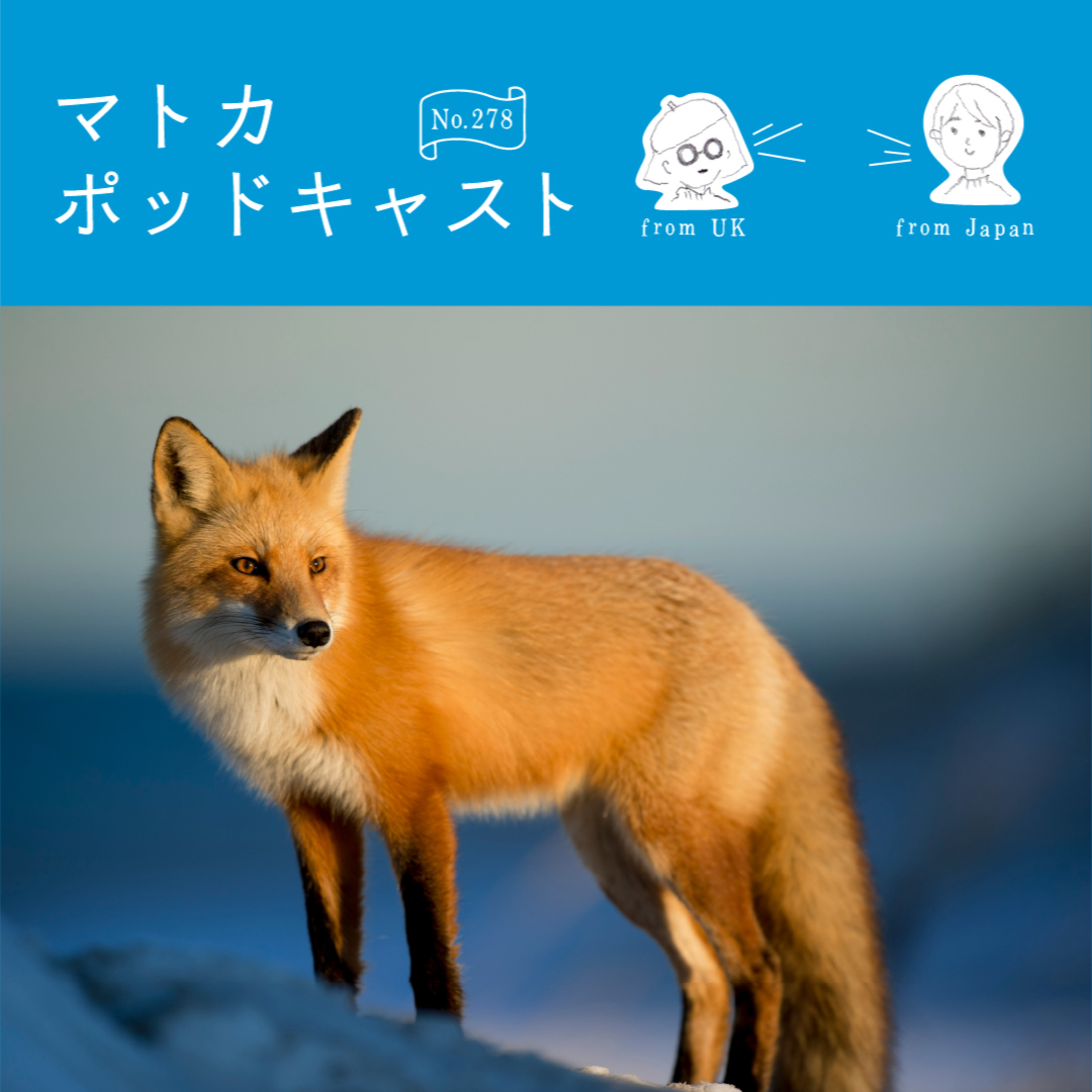 Londonならではの「庭に来るキツネ問題」。8割ぐらい解決した？  episode artwork