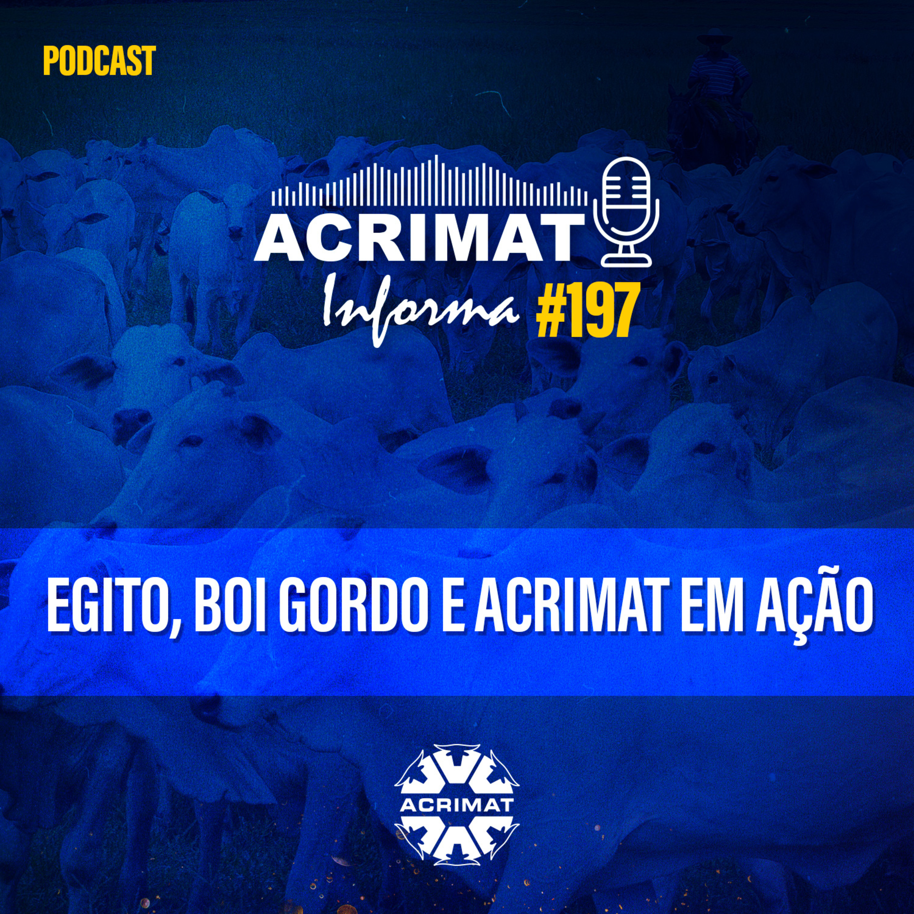 ACRIMAT INFORMA