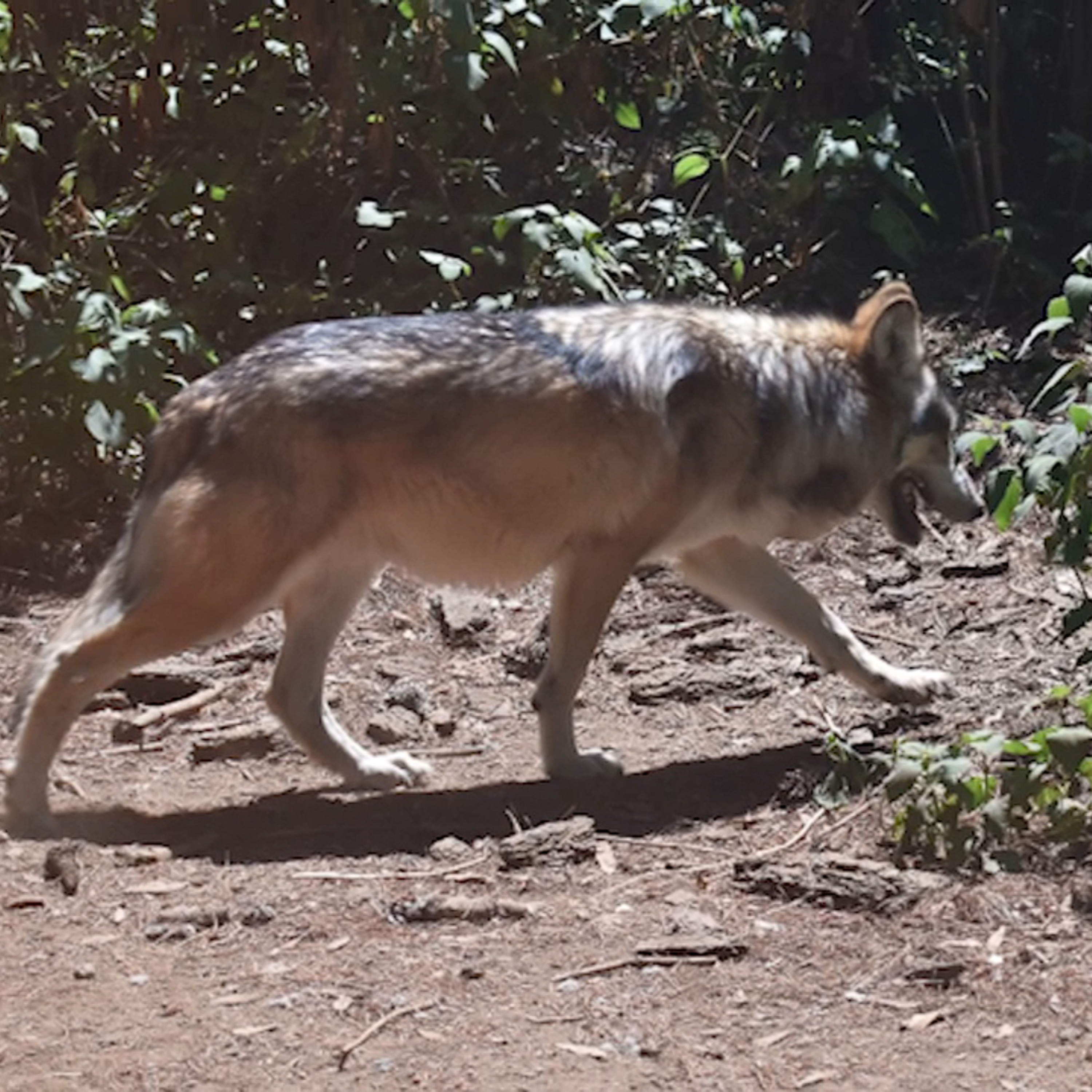 LUNA NOTICIAS