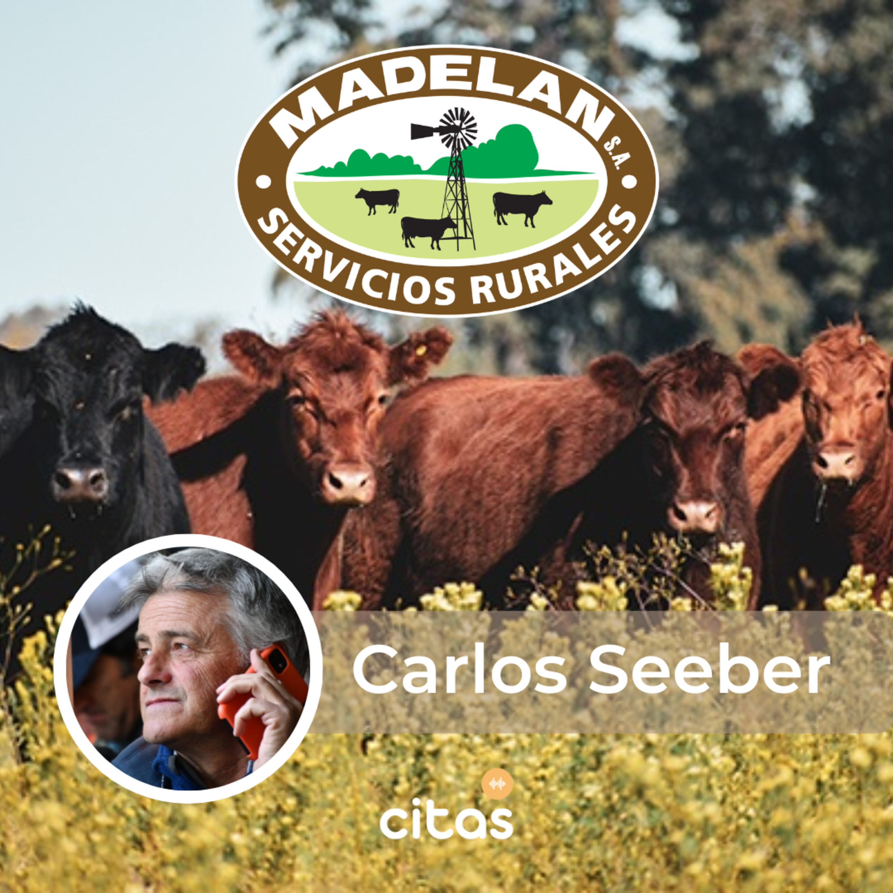 #677 Cita Agroindustrial - Carlos Charlie Seeber: Madelan fue de las primeras consignatarias en hacer remates por Internet  episode artwork