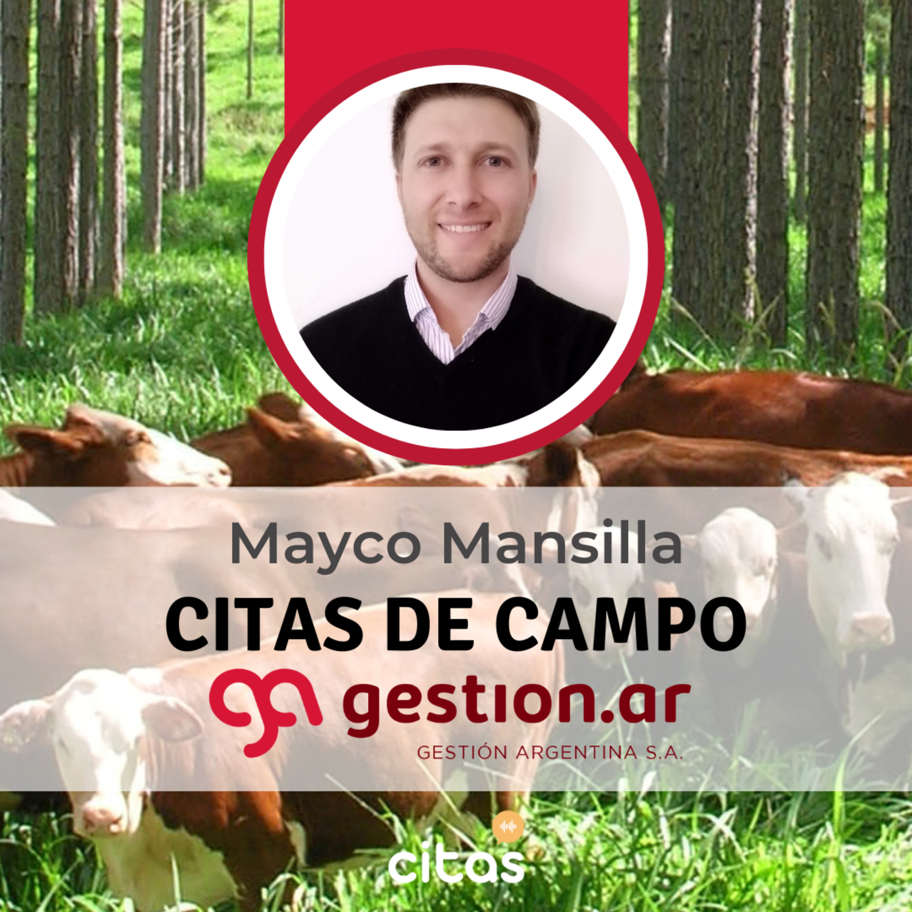 #689 Citas de Campo - Mayco Mansilla: En EcoBosques Ganaderos cruzamos la rentabilidad de tres actividades productivas episode artwork
