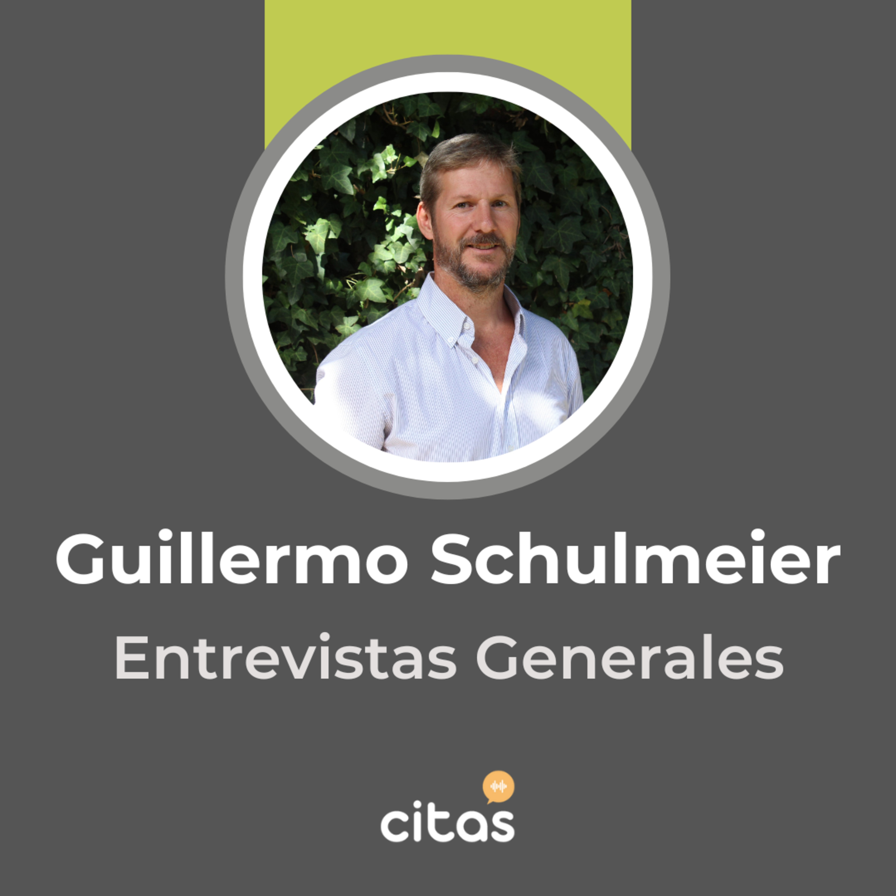 #707 Guillermo Schulmeier: Brandsonalities o la esencia de las marcas episode artwork