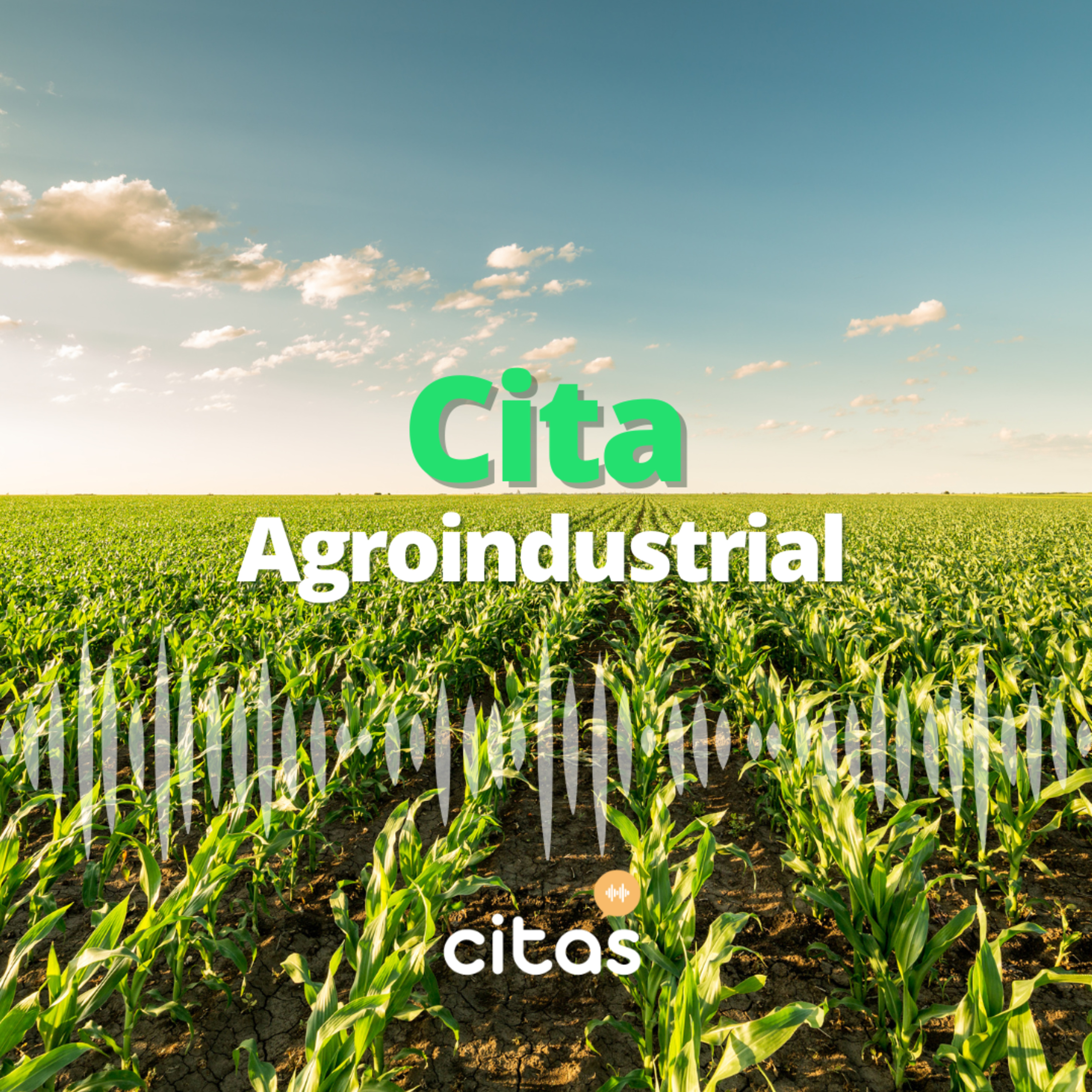 Testimonio de un industrial lechero que ve oportunidades en la Argentina - Jesús A. Perez (Cita Agroindustrial) episode artwork