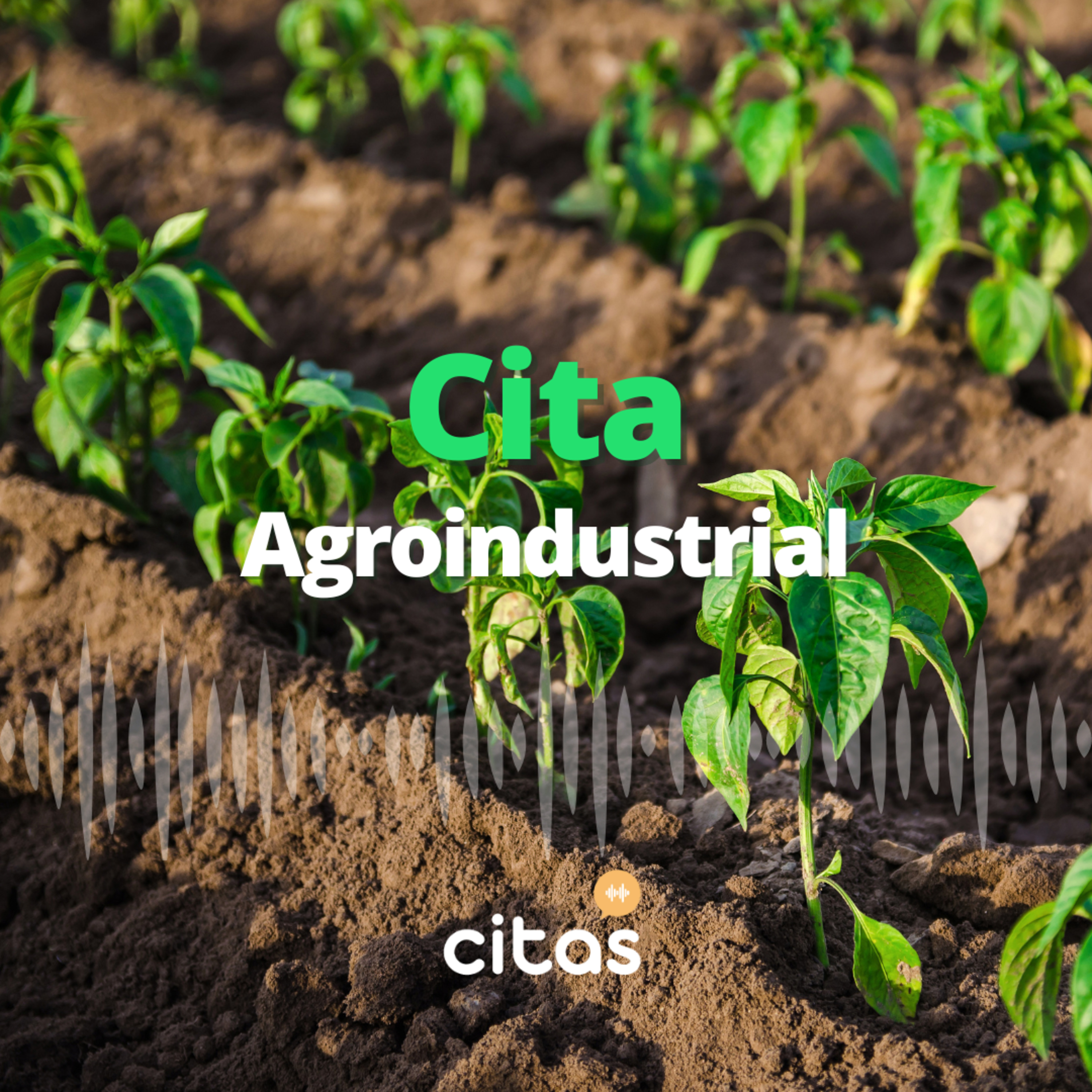 Citas Podcast