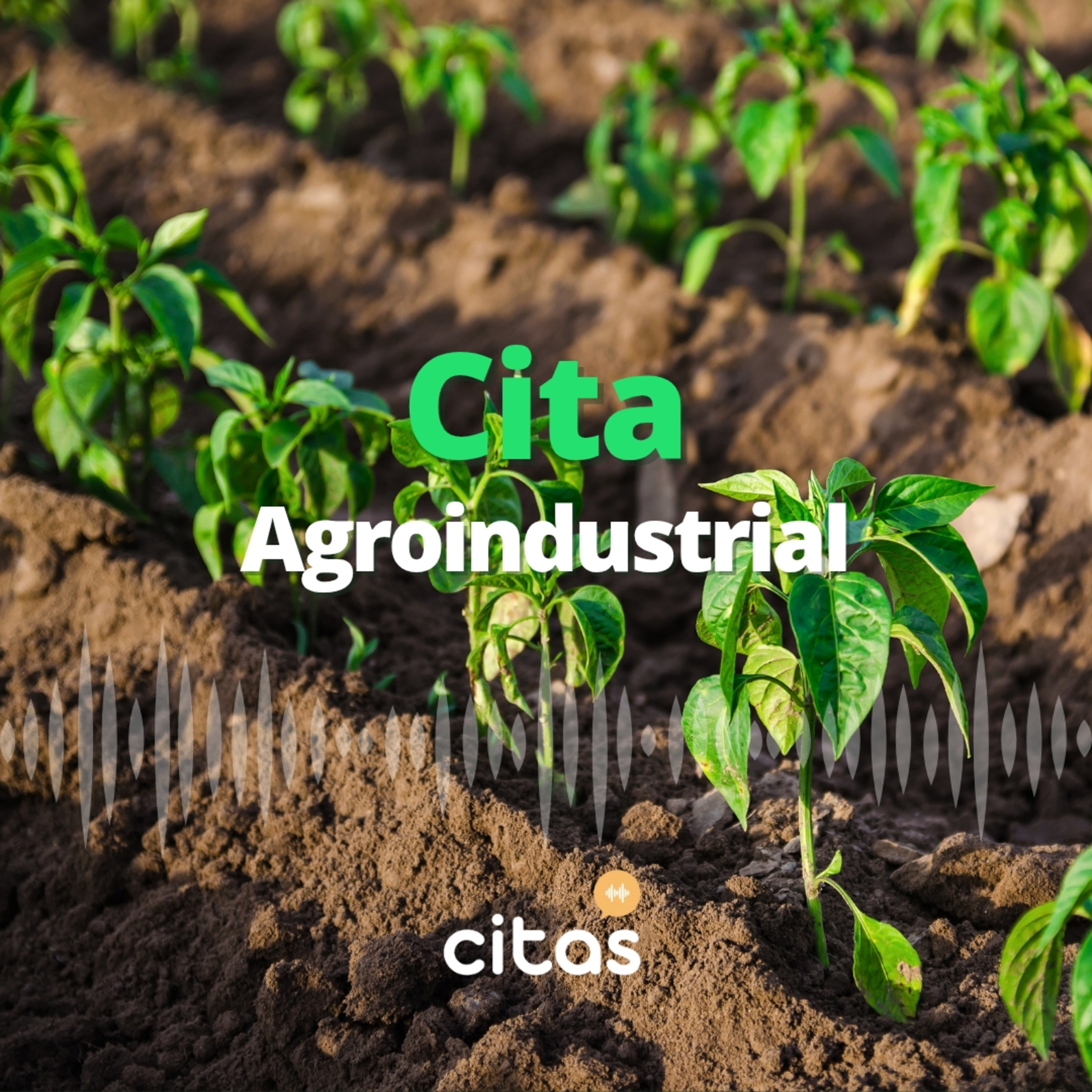 #273 En La Yunta ofrecemos servicios ganaderos desde Tandil - Florencia Piazza y Julián Rohvein (Cita Agroindustrial)