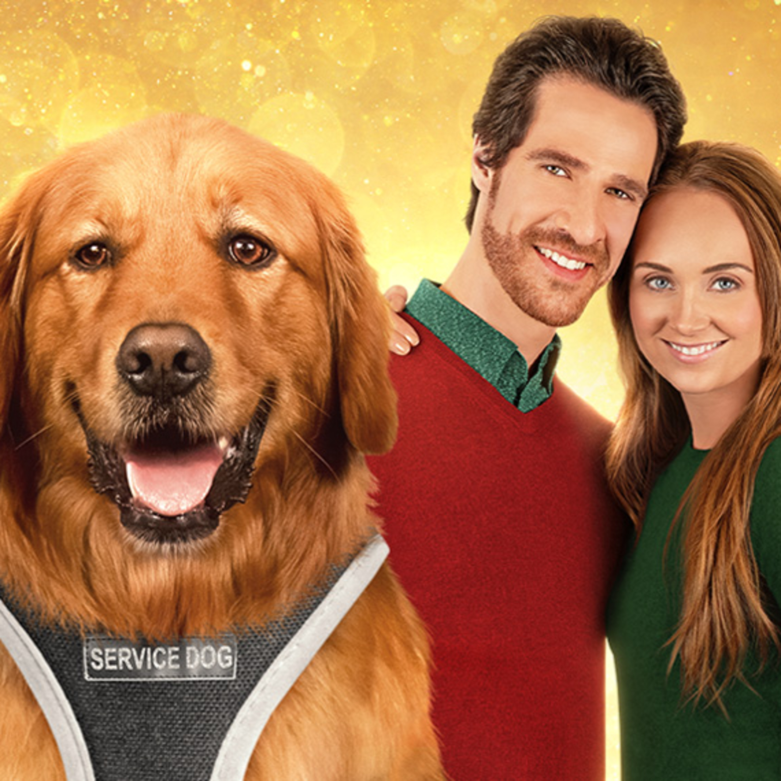 Cheesy Christmas Movies Are Delicious | The Delicious Culture with Jon Francois