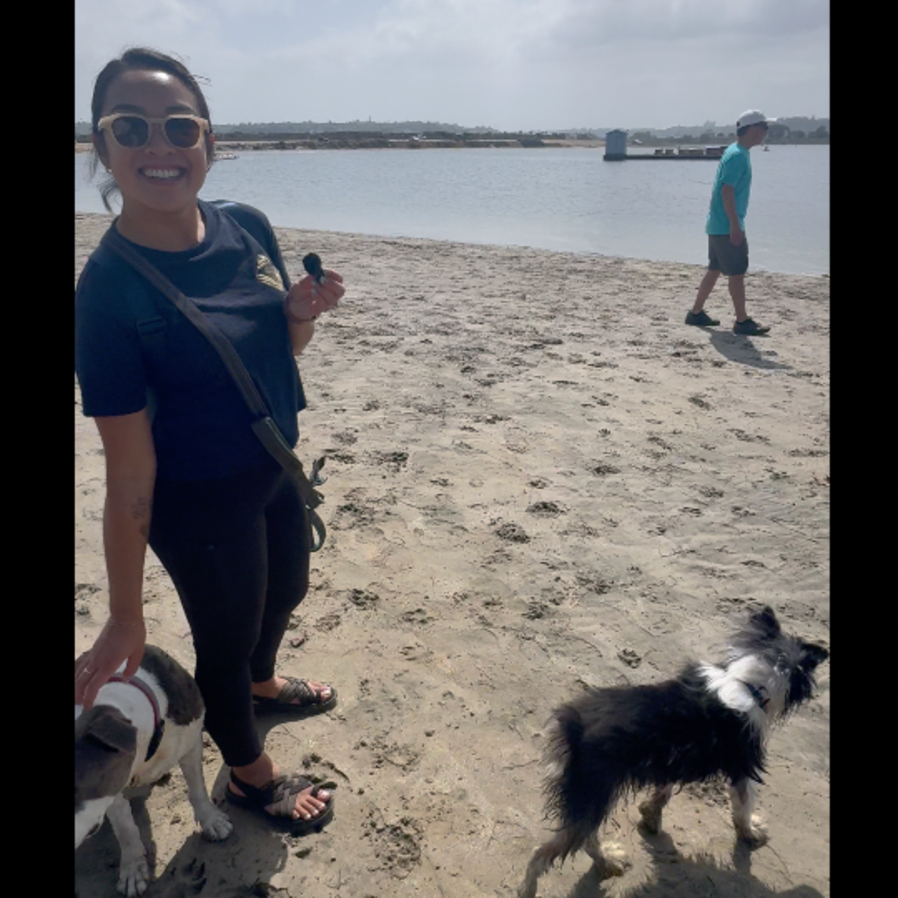 The Dog Beach Diaries - S1:E16 - Nicole & Rocco episode artwork