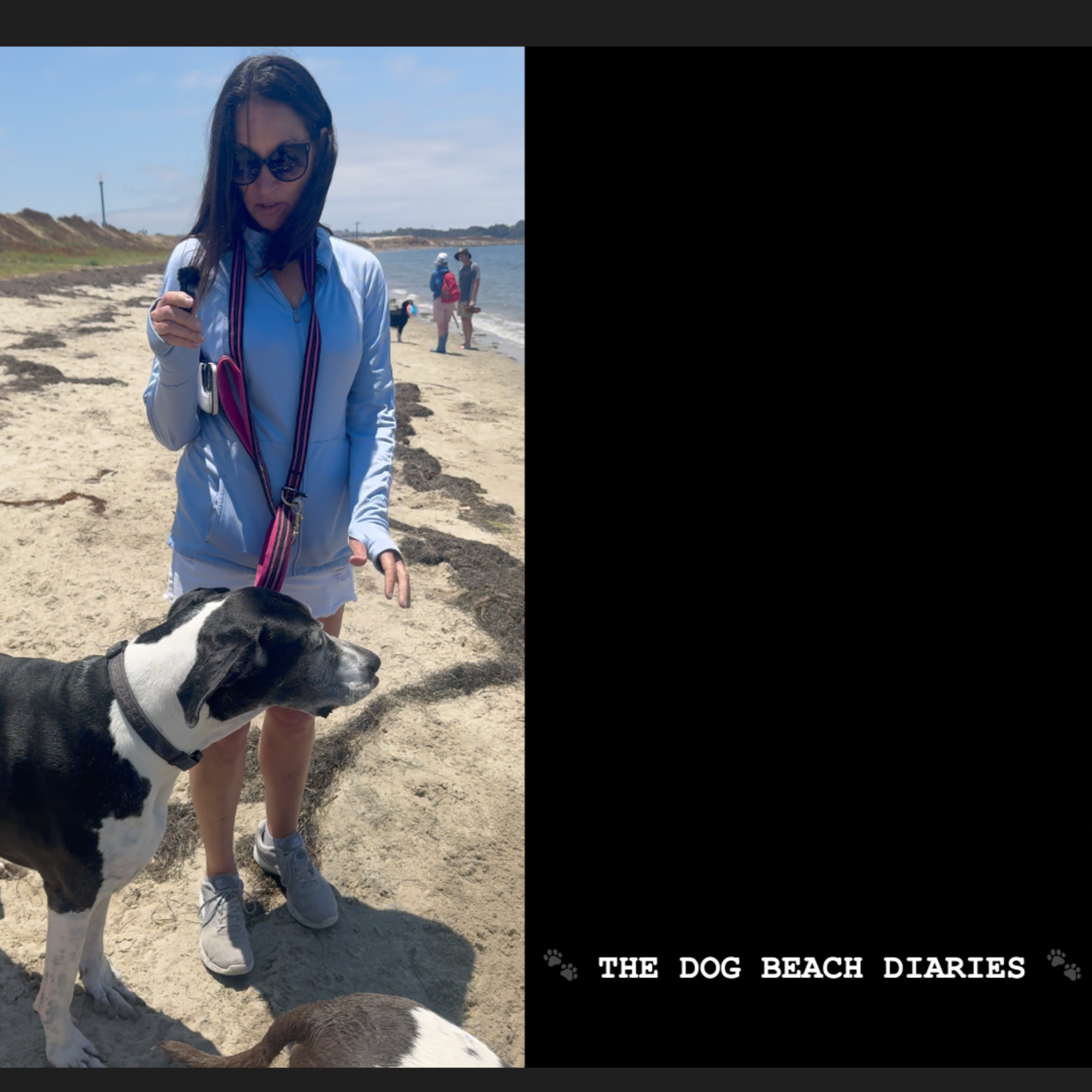 The Dog Beach Diaries - S1:E20 - Cindy & Luna episode artwork