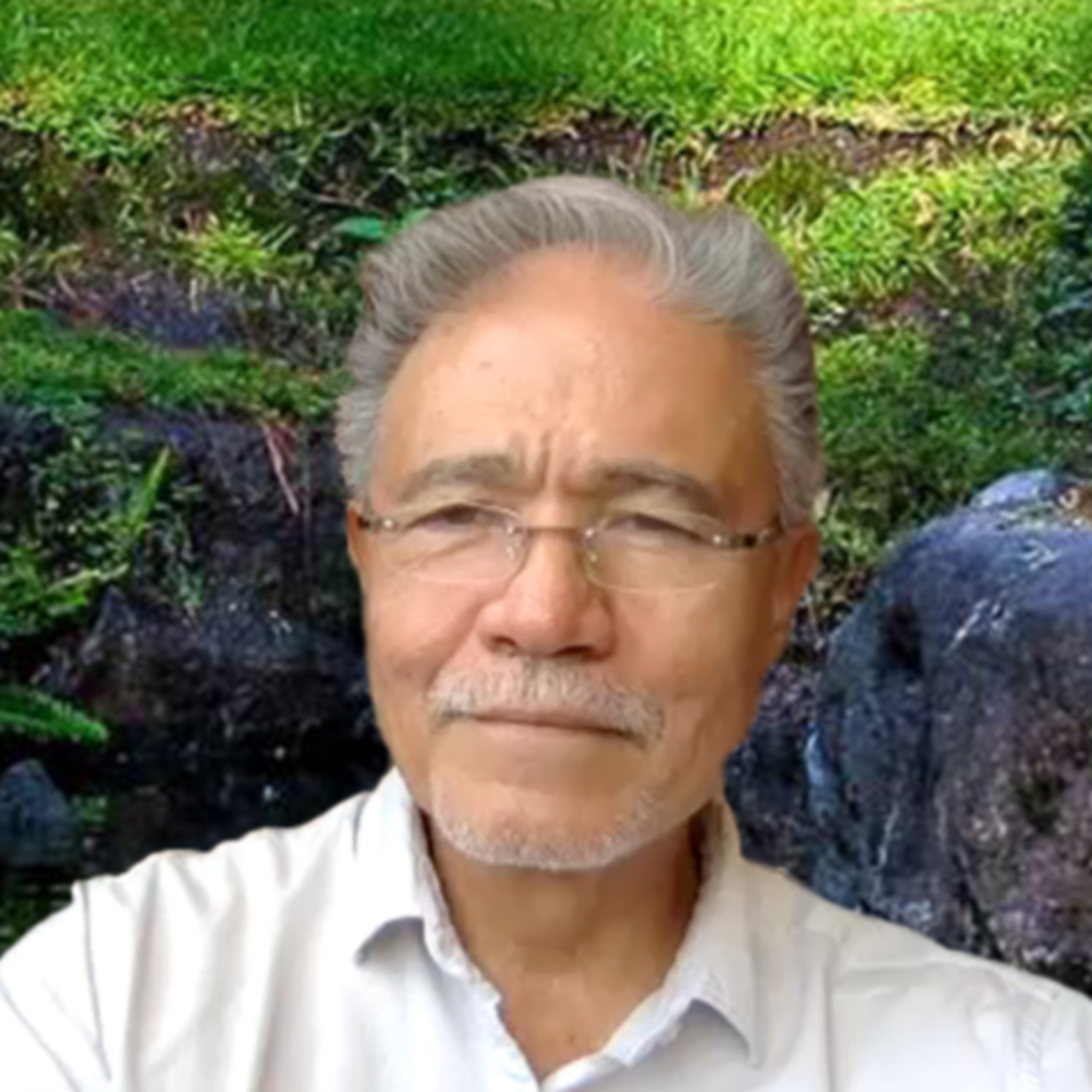 Ep. 145.- Jardines que unen culturas: México y Japón – Con Guillermo Ashida, Arquitecto de Paisajes episode artwork
