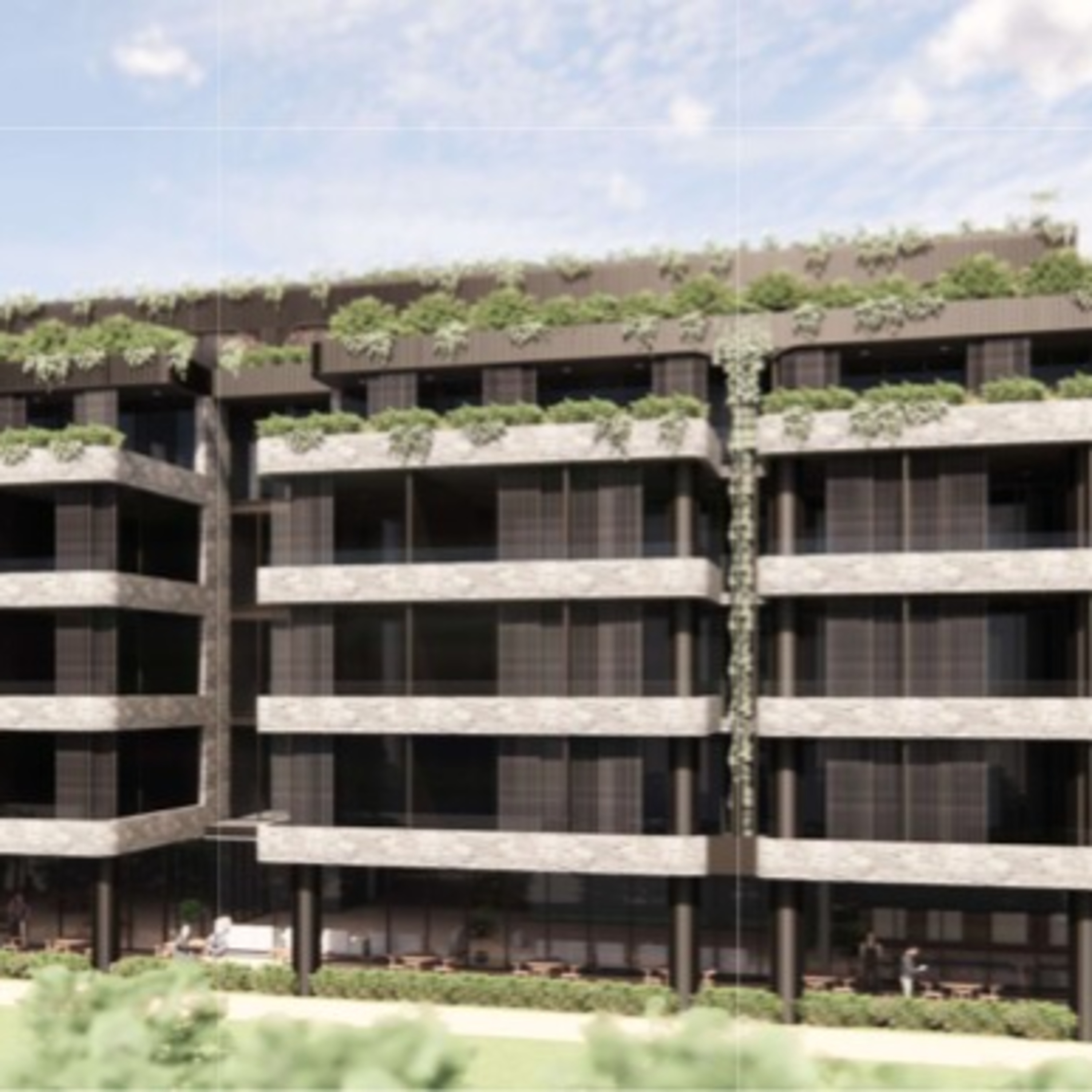 Narrow Neck Development - Act Now! Part 3