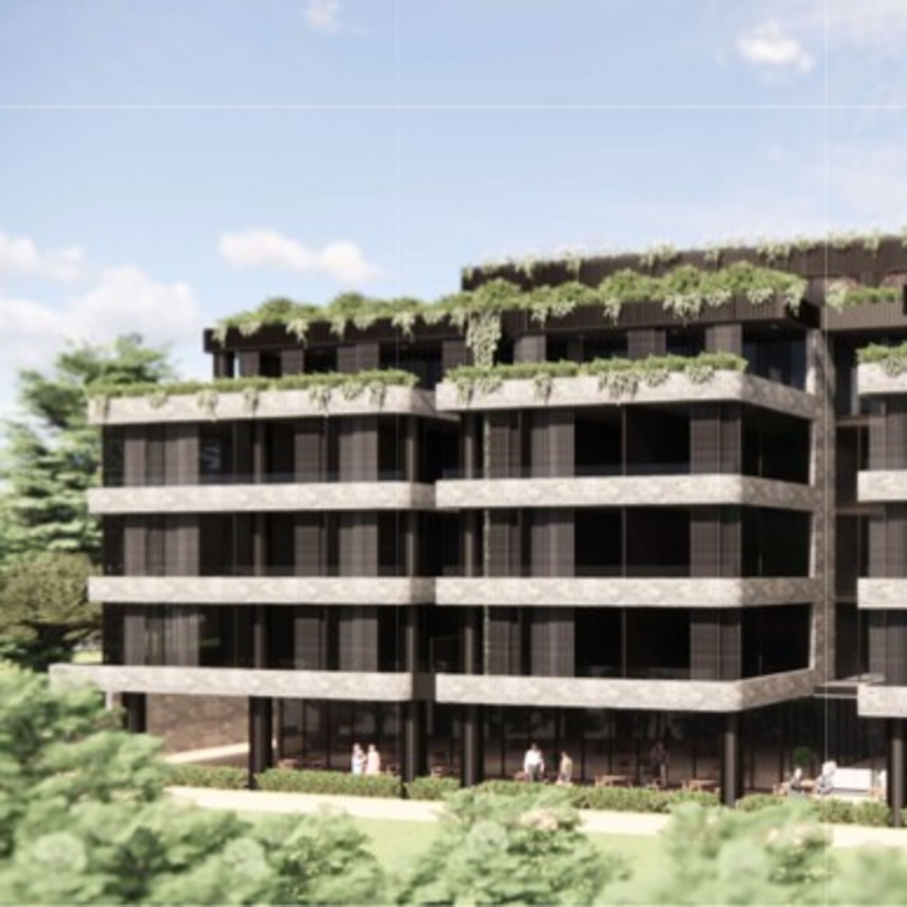 Campaign against fast track development at Narrow Neck Rd, Katoomba - Part 2