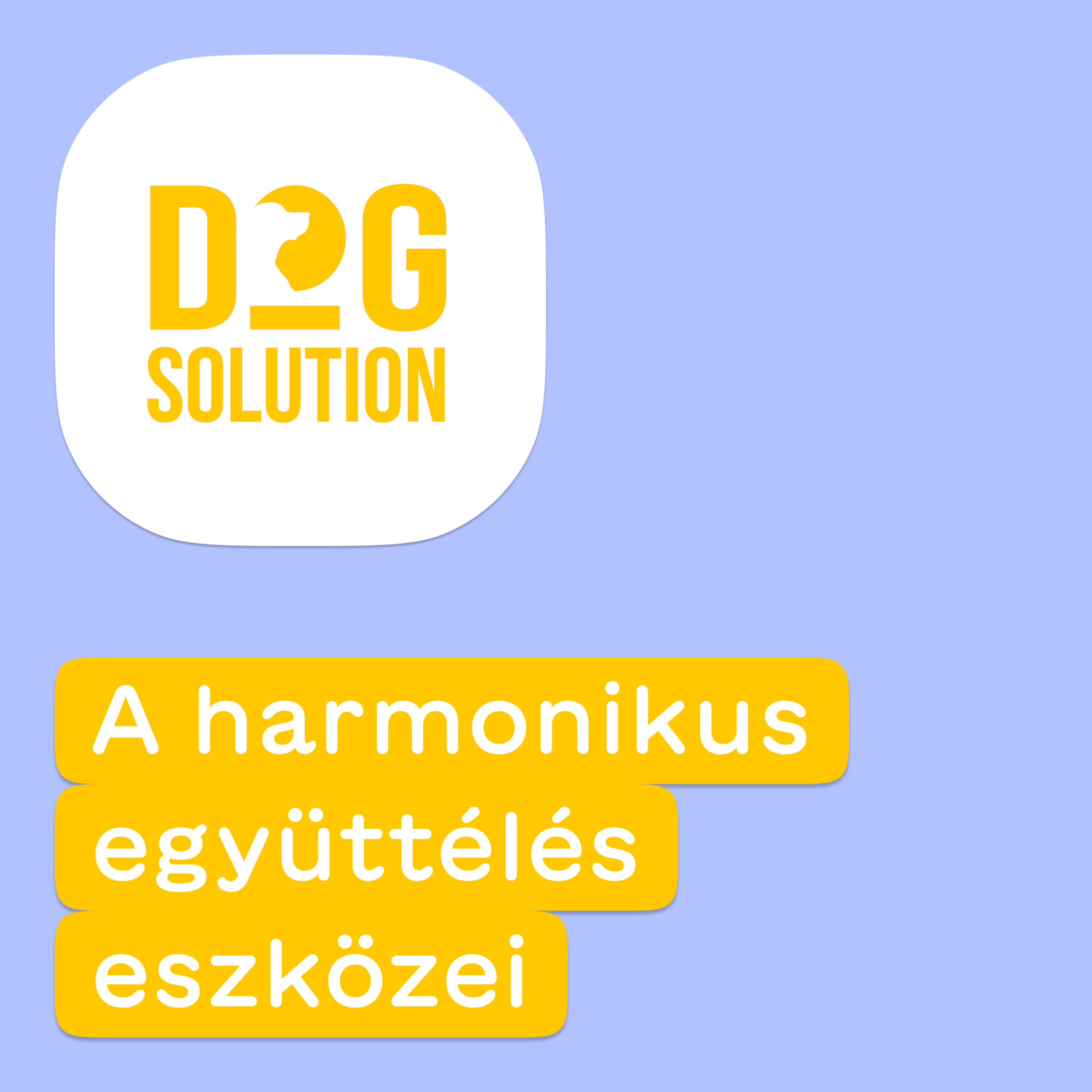 Dog Solution #06 - A harmonikus együttélés eszközei episode artwork
