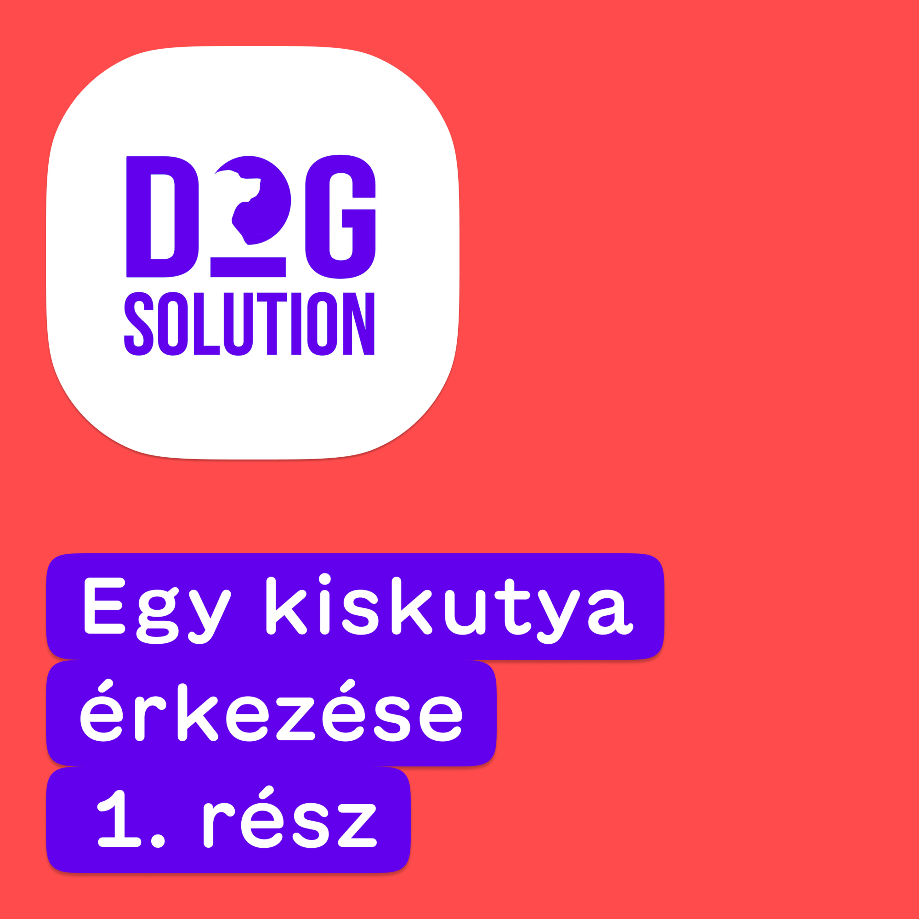 Dog Solution #07 - Egy kiskutya érkezése (1. rész) episode artwork