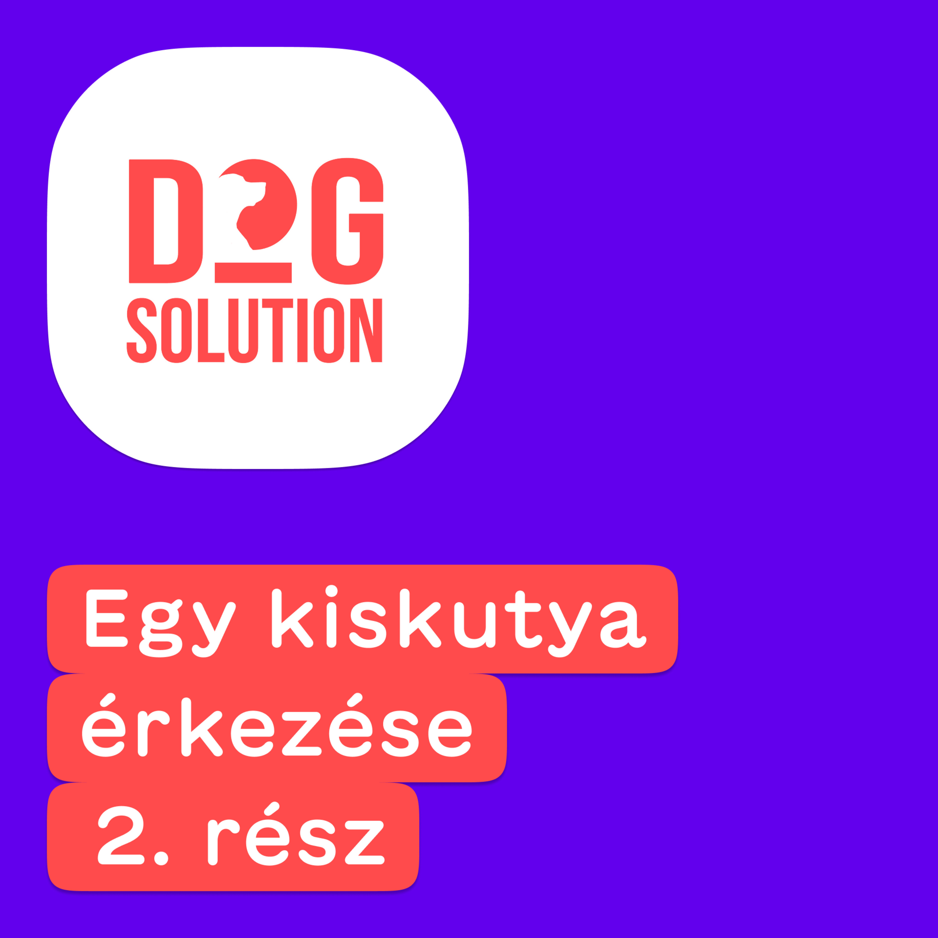 Dog Solution #08 - Egy kiskutya érkezése (2. rész) episode artwork