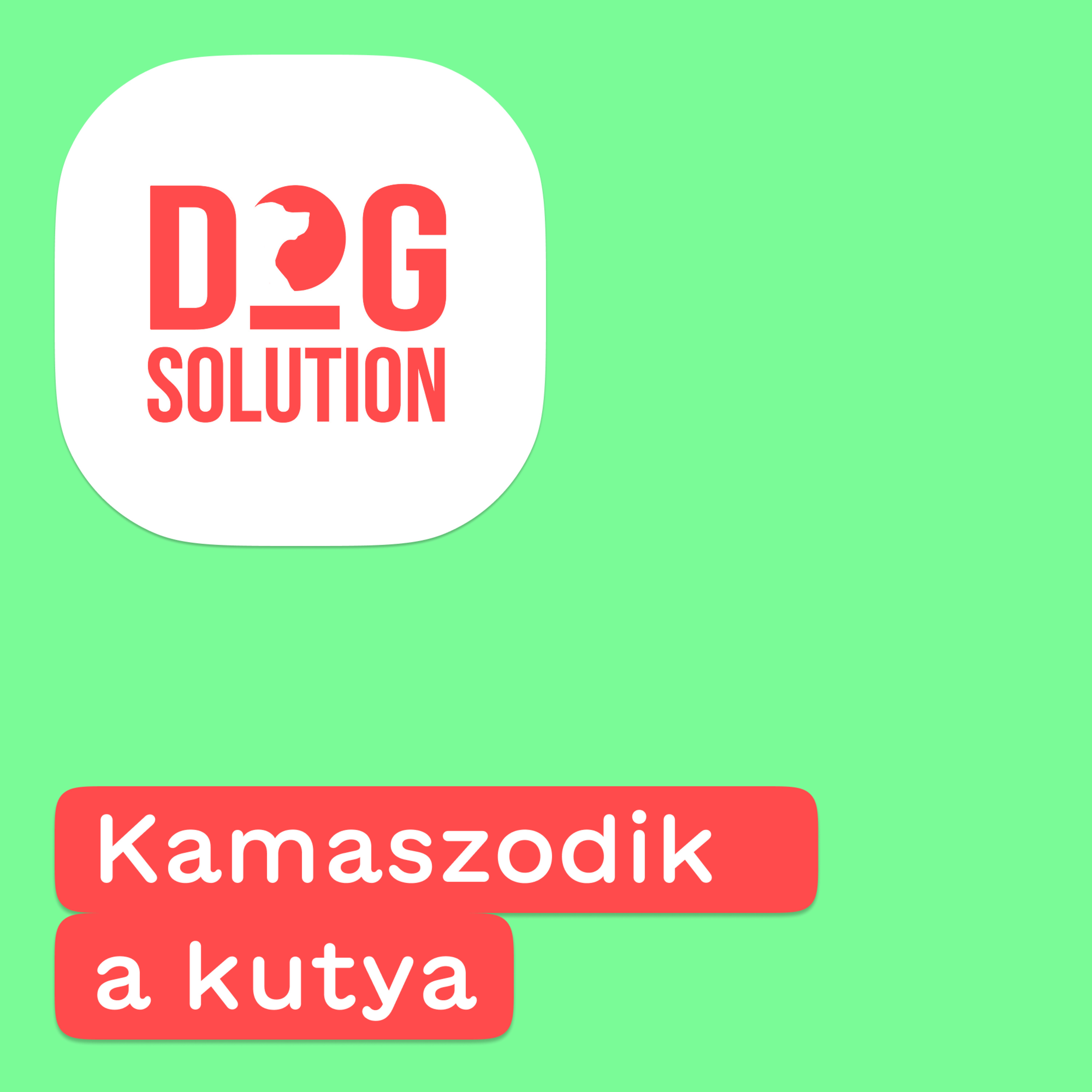 Dog Solution #09 - Kamaszodik a kutya episode artwork
