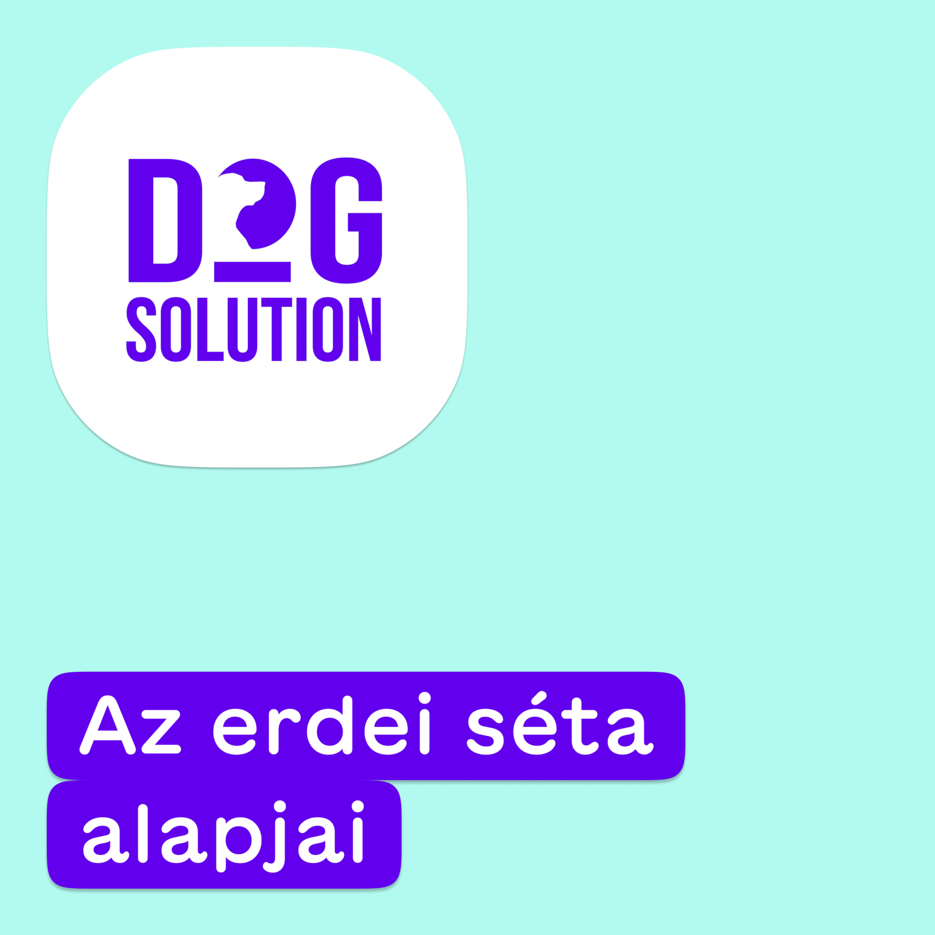 Dog Solution #01 - Mit tegyünk, ha jön a vaddisznó? Az erdei séta alapjai episode artwork
