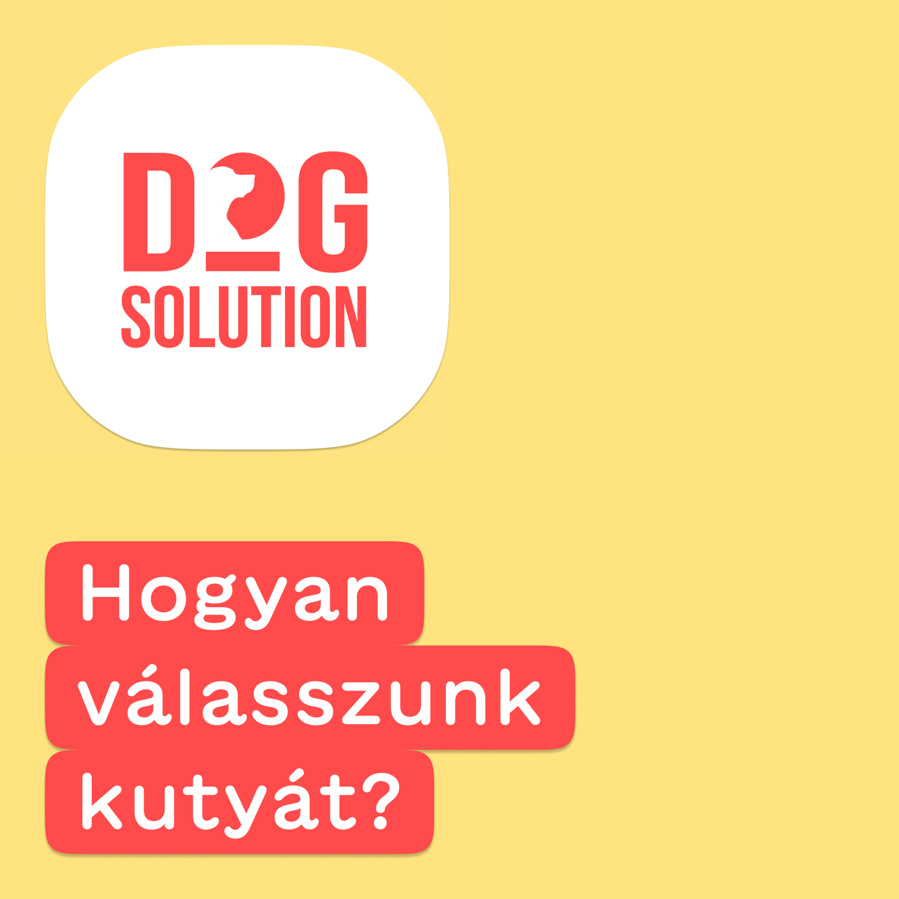 Dog Solution #02 - Hogyan válasszunk kutyát? Boldog kutya, boldog gazda! episode artwork