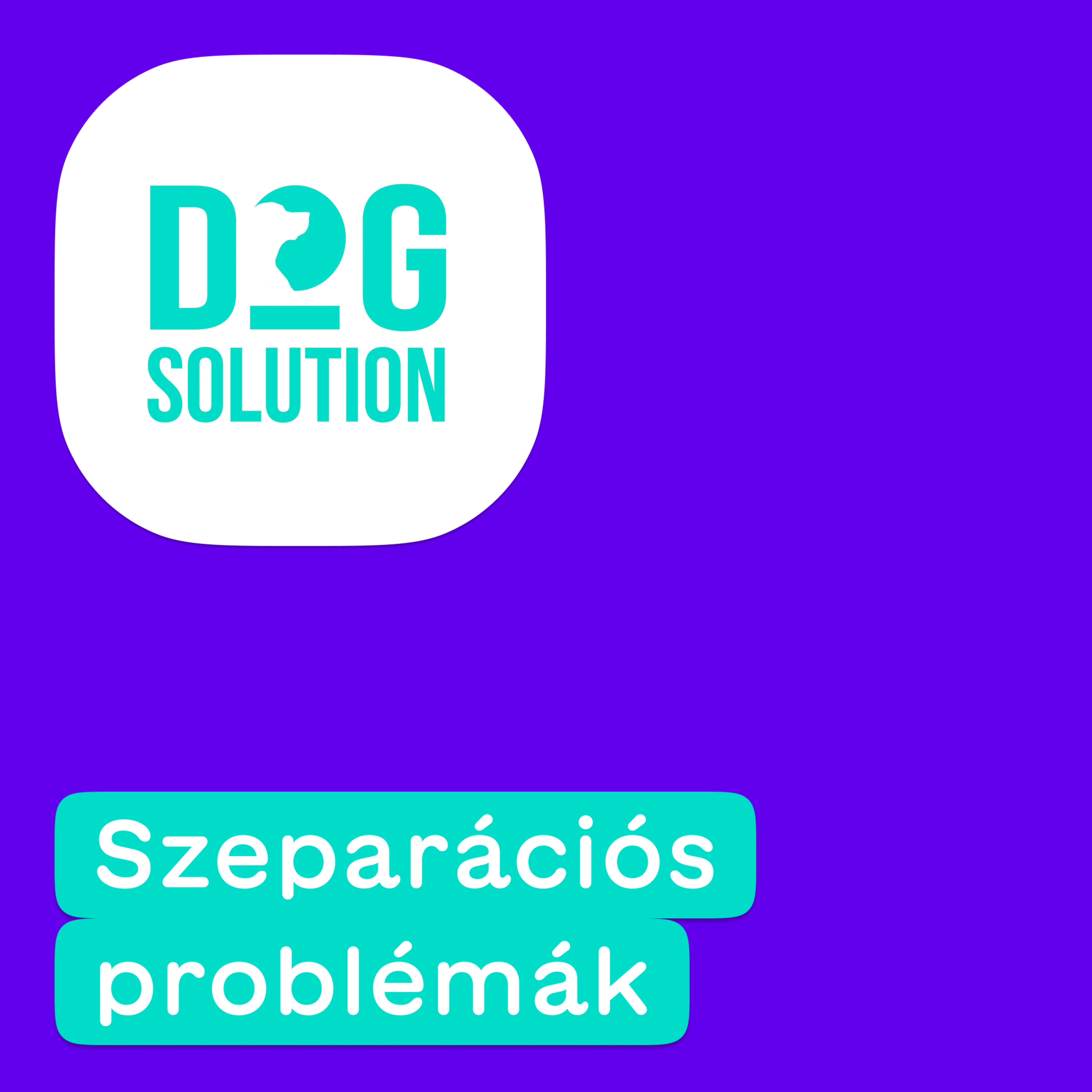 Dog Solution #05 - Szeparációs problémák episode artwork