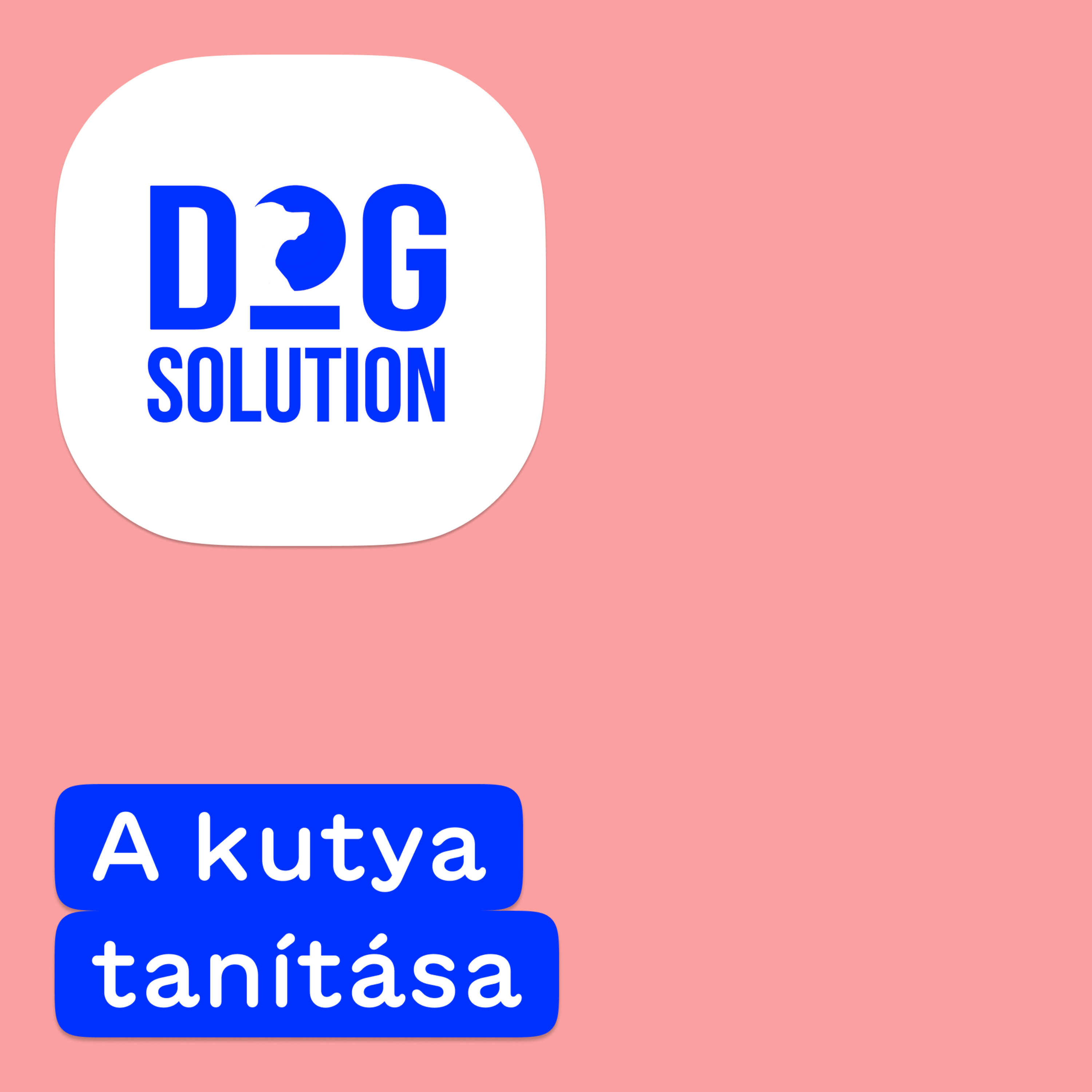Dog Solution #12 - A kutya tanítása episode artwork