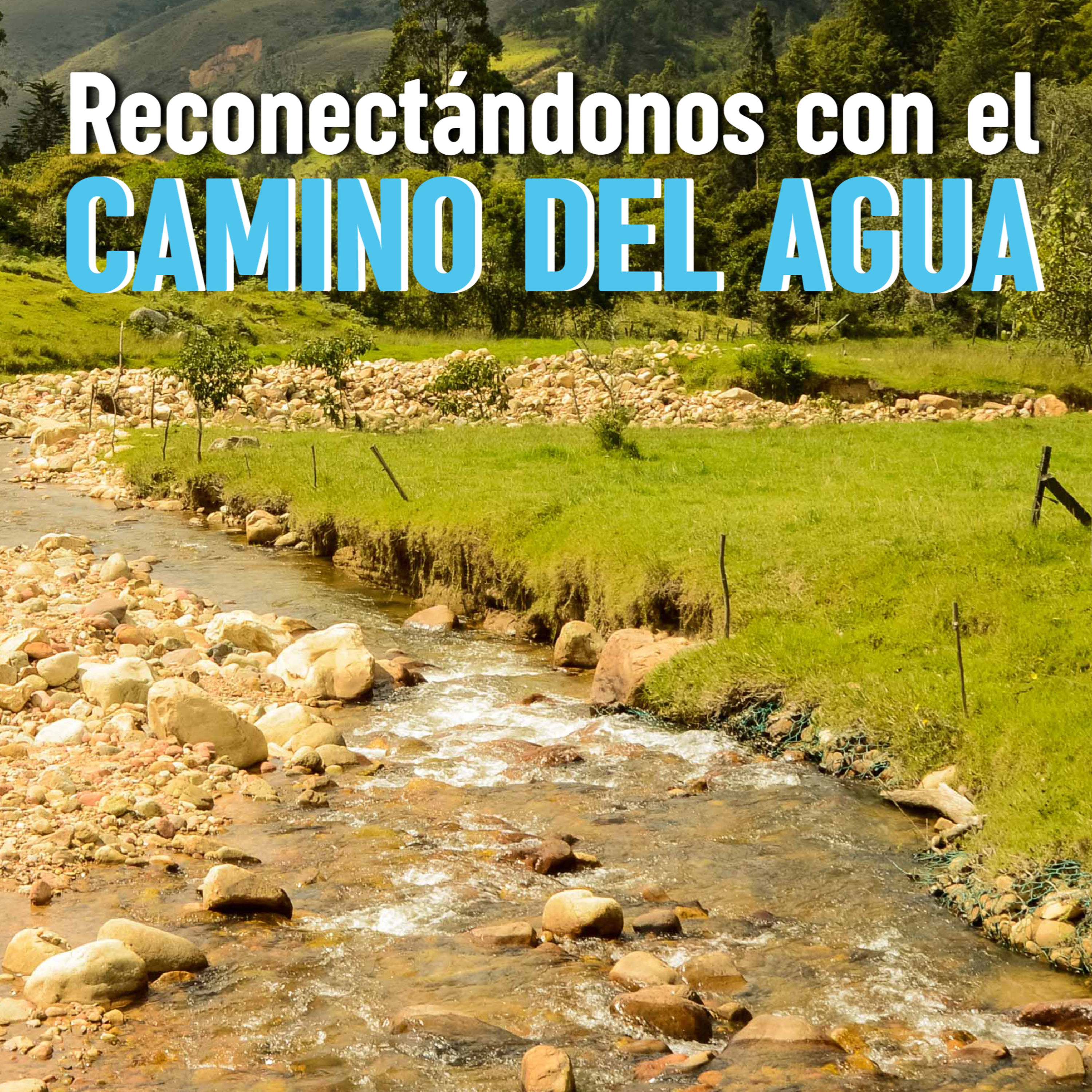 Portada de Perifoneando