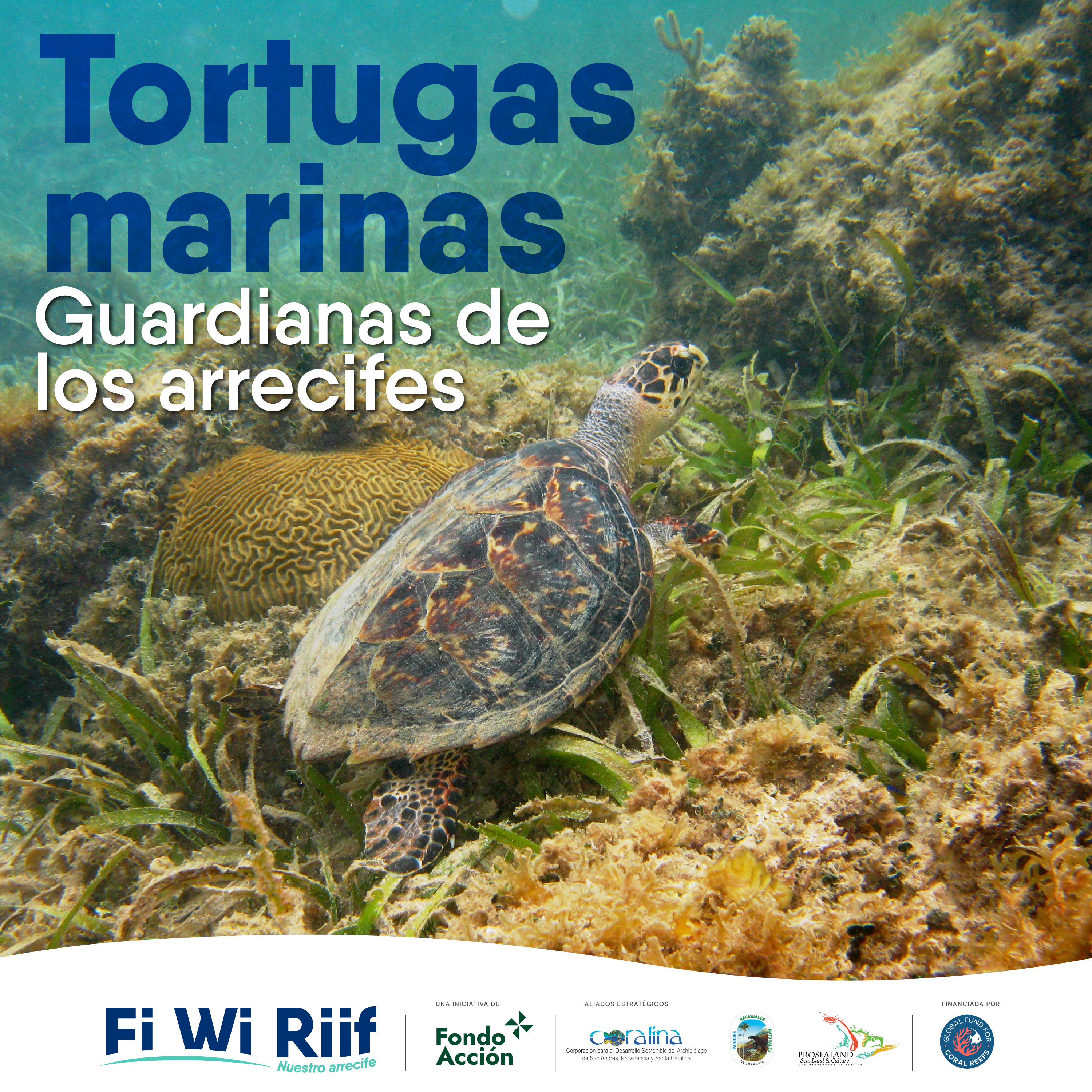 Portada de Perifoneando