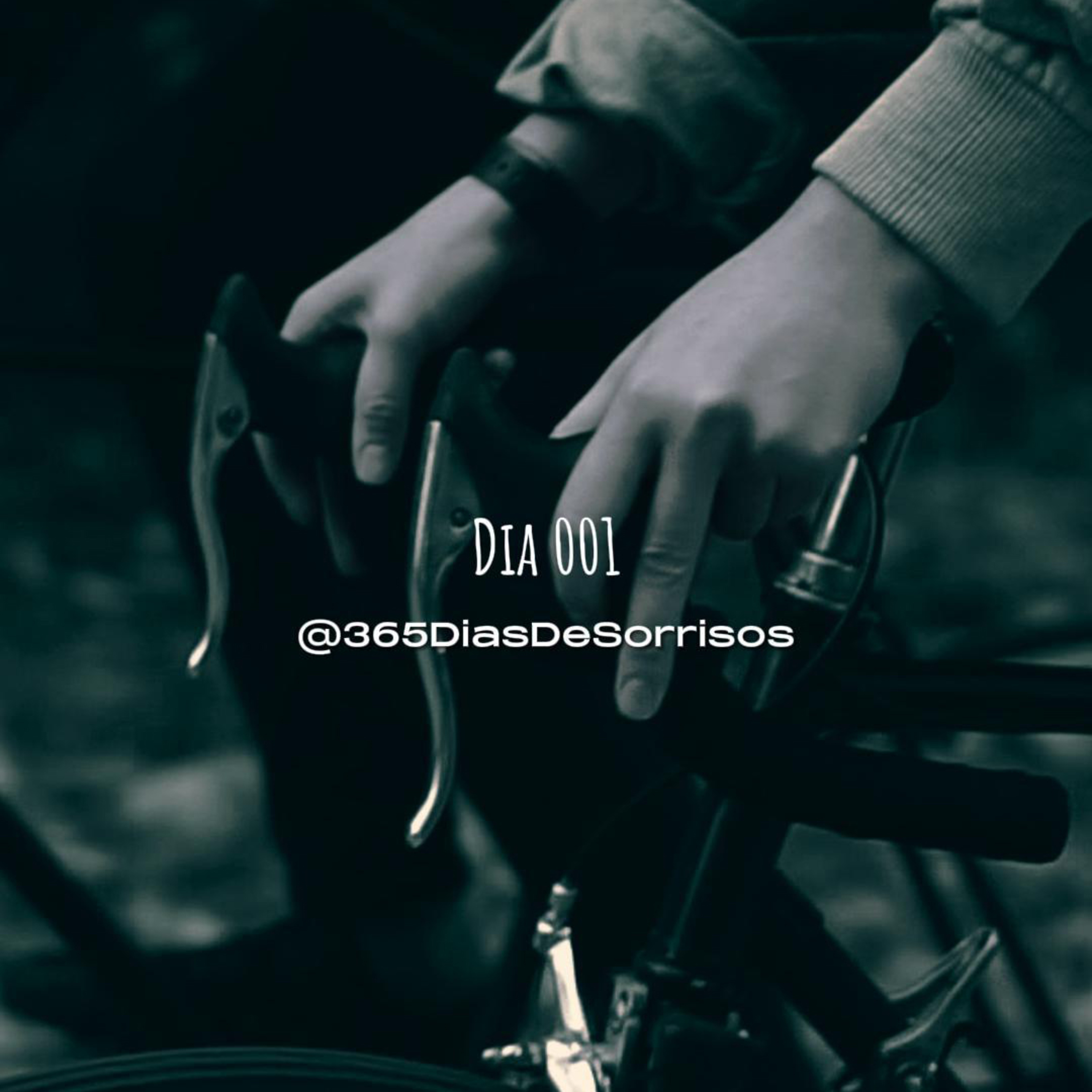 365 Dias de Sorrisos