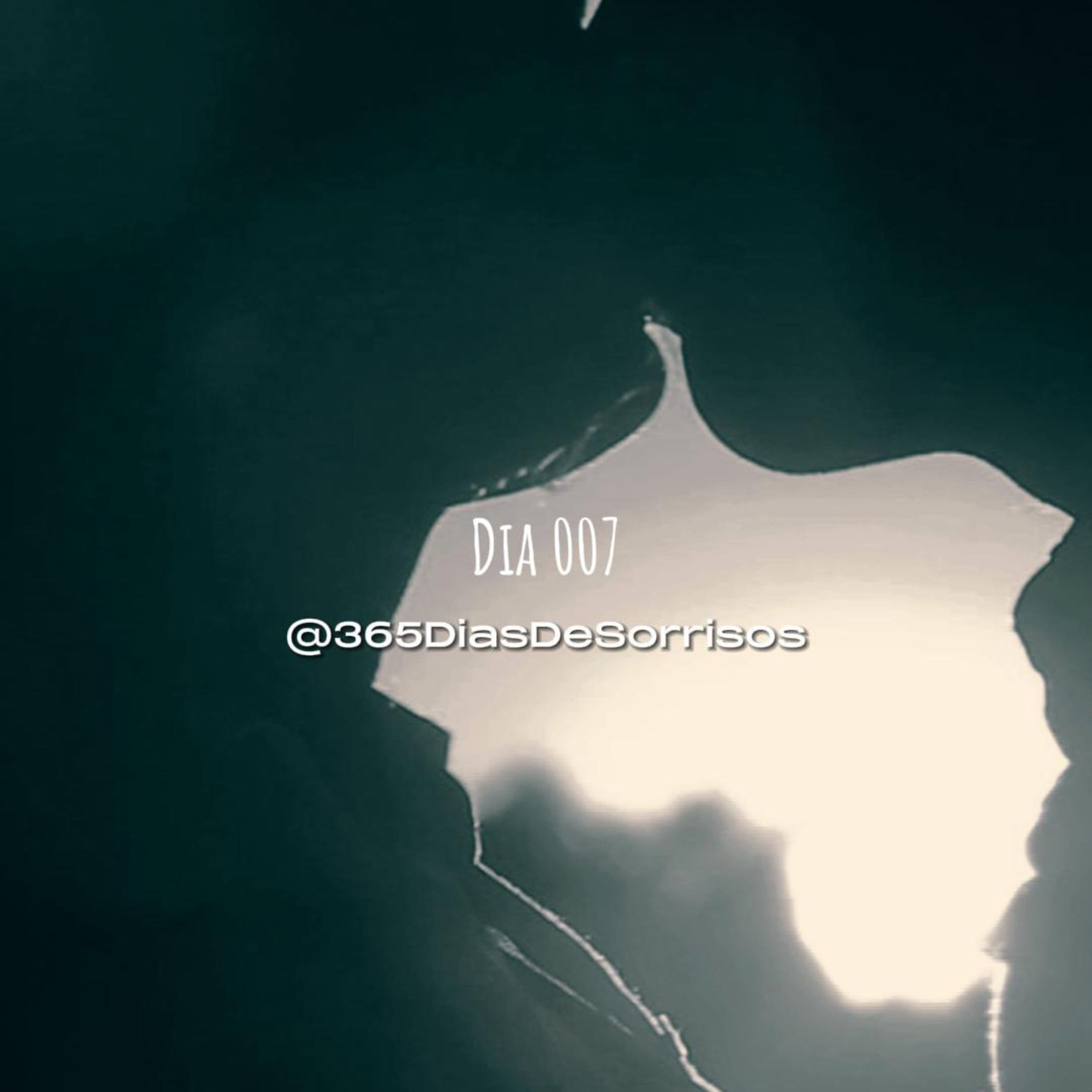 365 Dias de Sorrisos