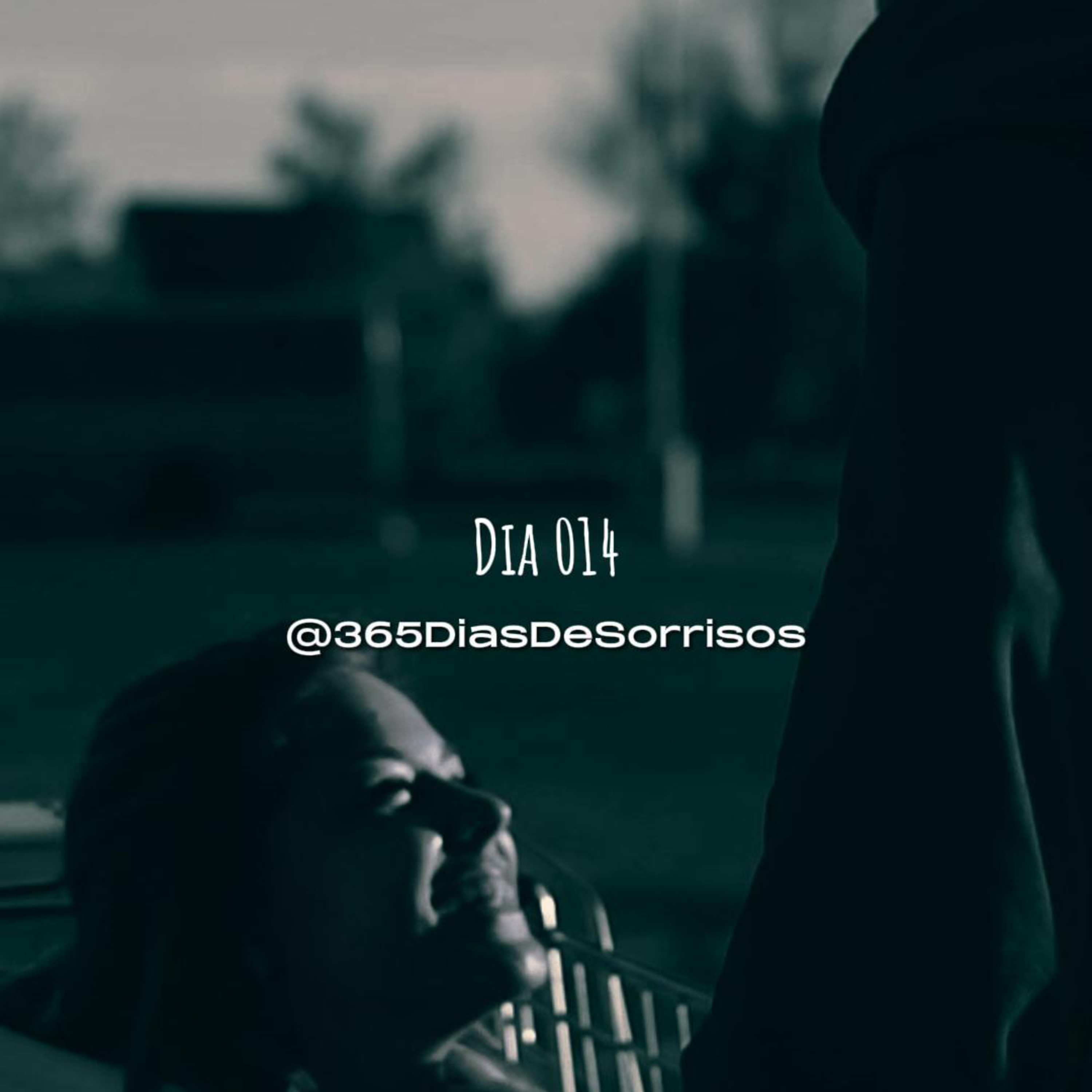 365 Dias de Sorrisos