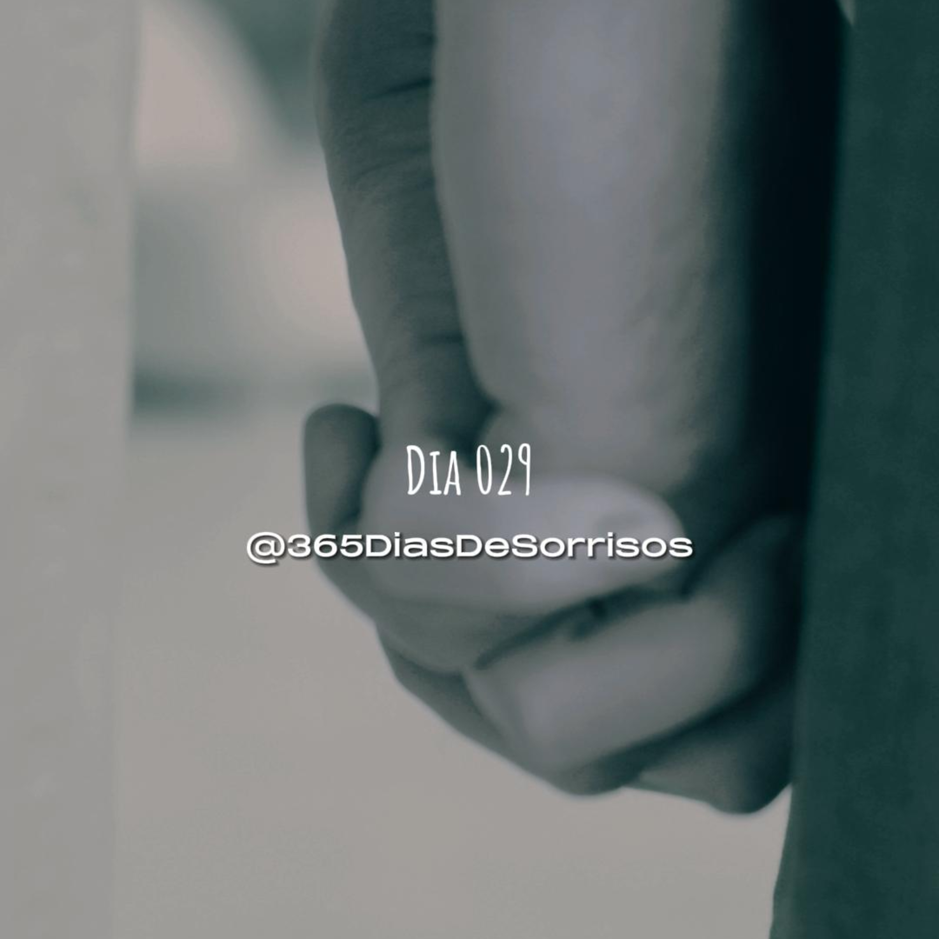 365 Dias de Sorrisos