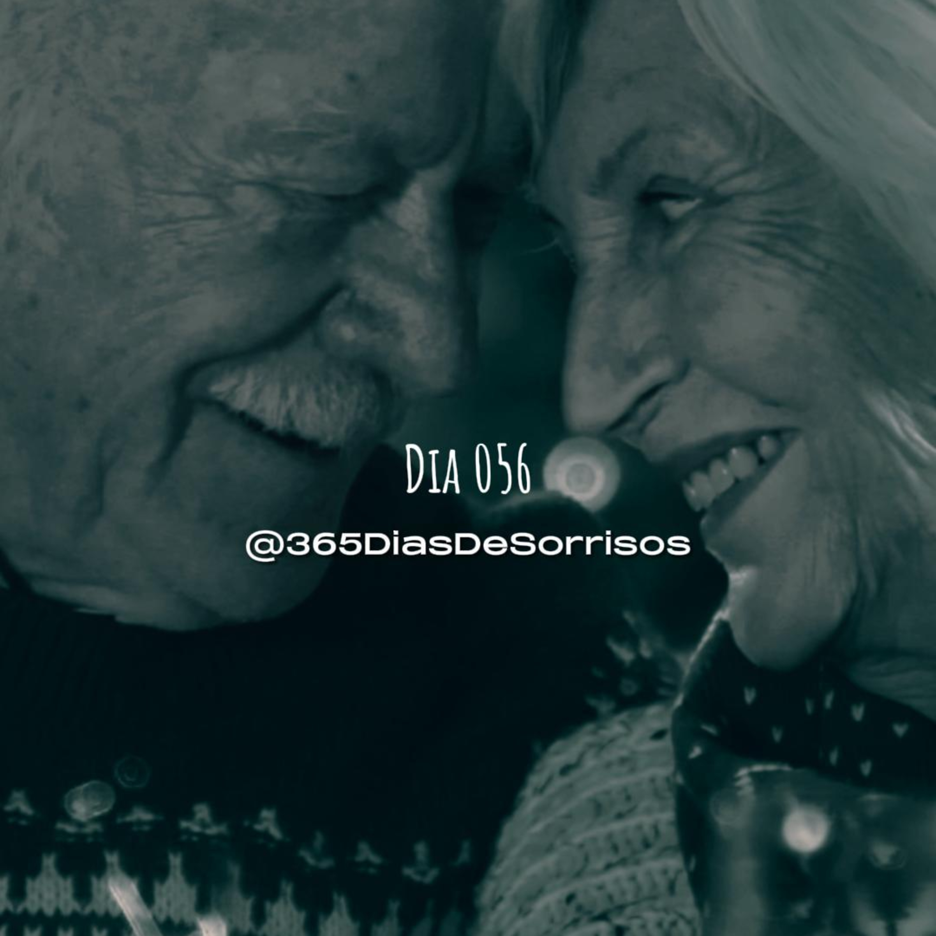 365 Dias de Sorrisos
