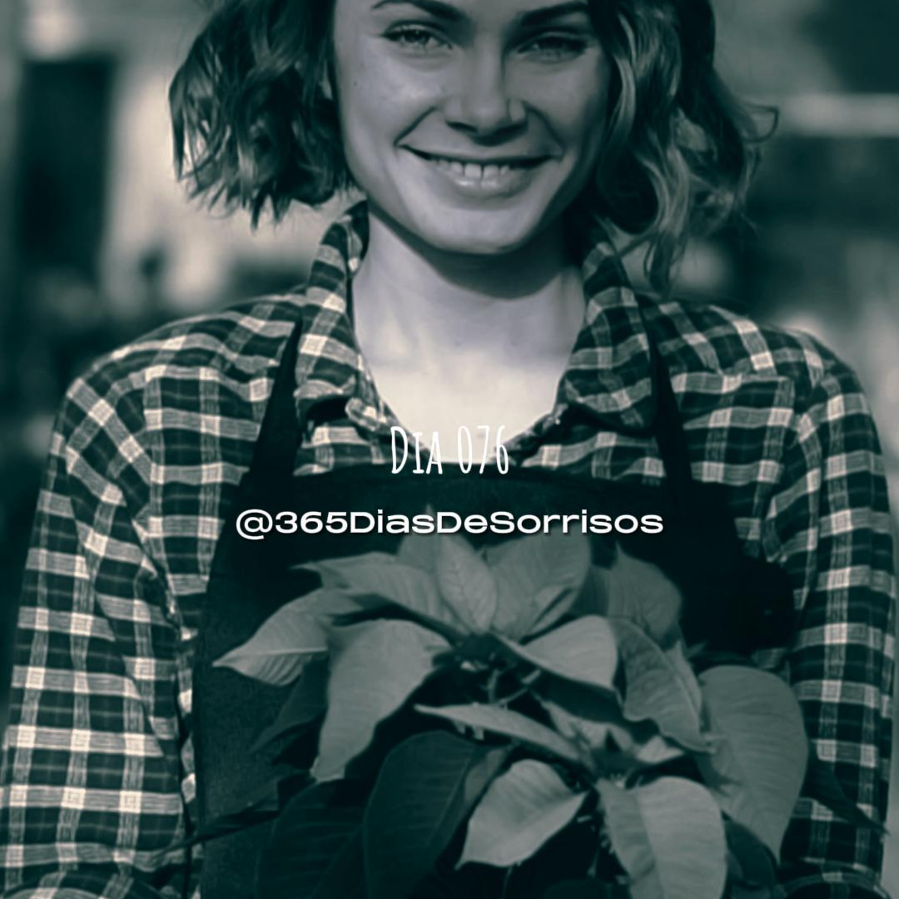 365 Dias de Sorrisos