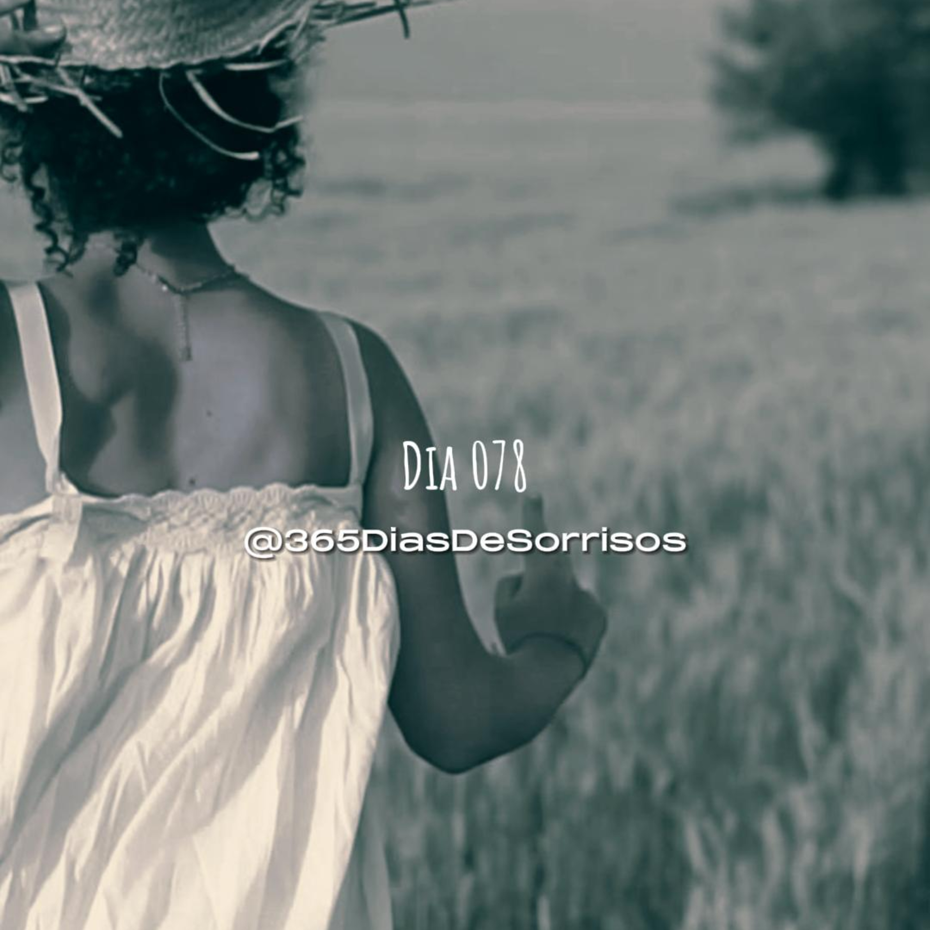 365 Dias de Sorrisos