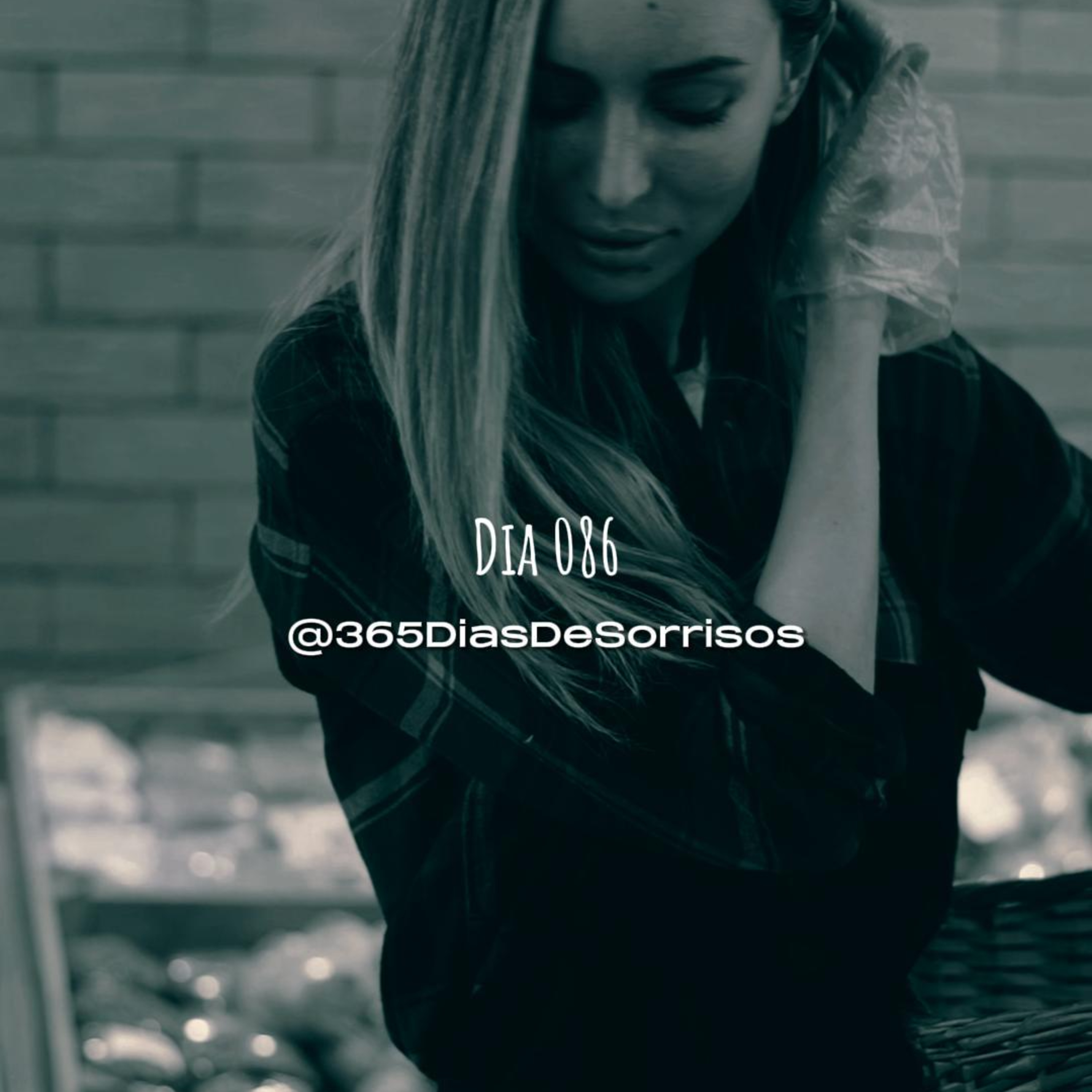365 Dias de Sorrisos