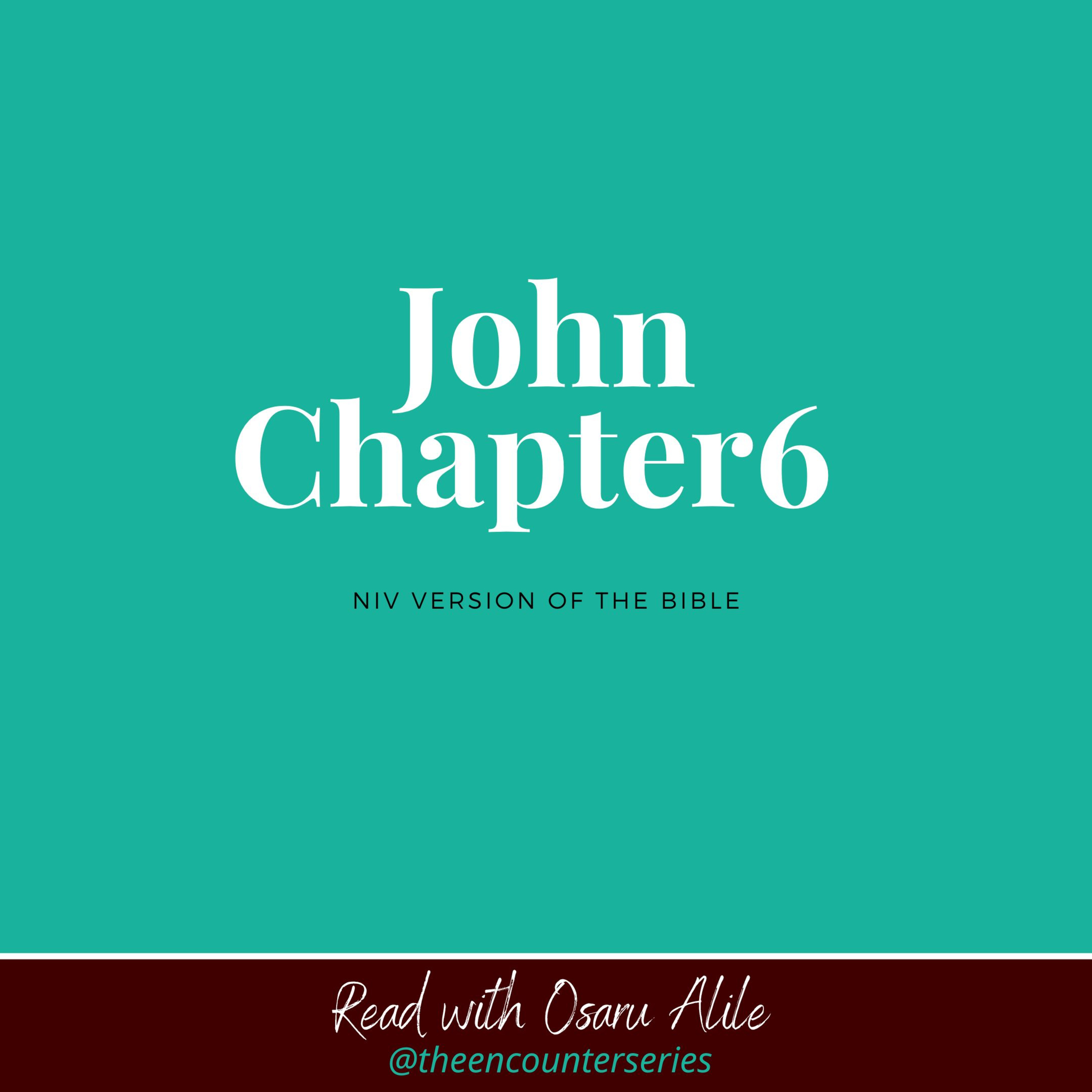 John 6 NIV read by Osaru Alile