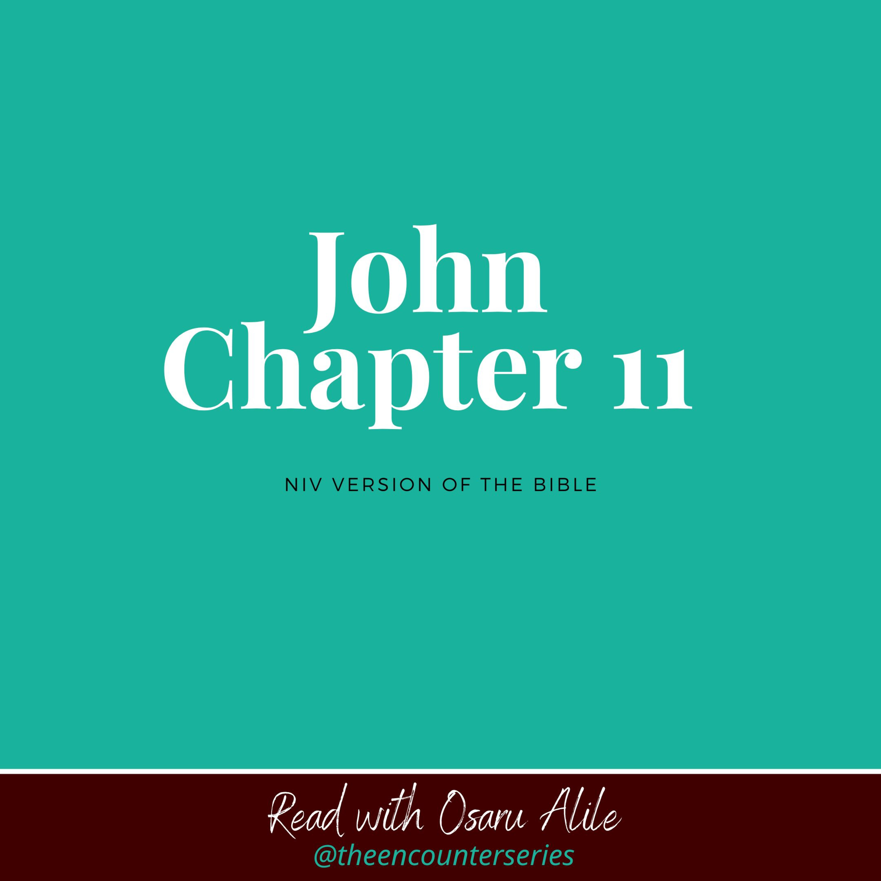 John 11 NIV read by Osaru Alile