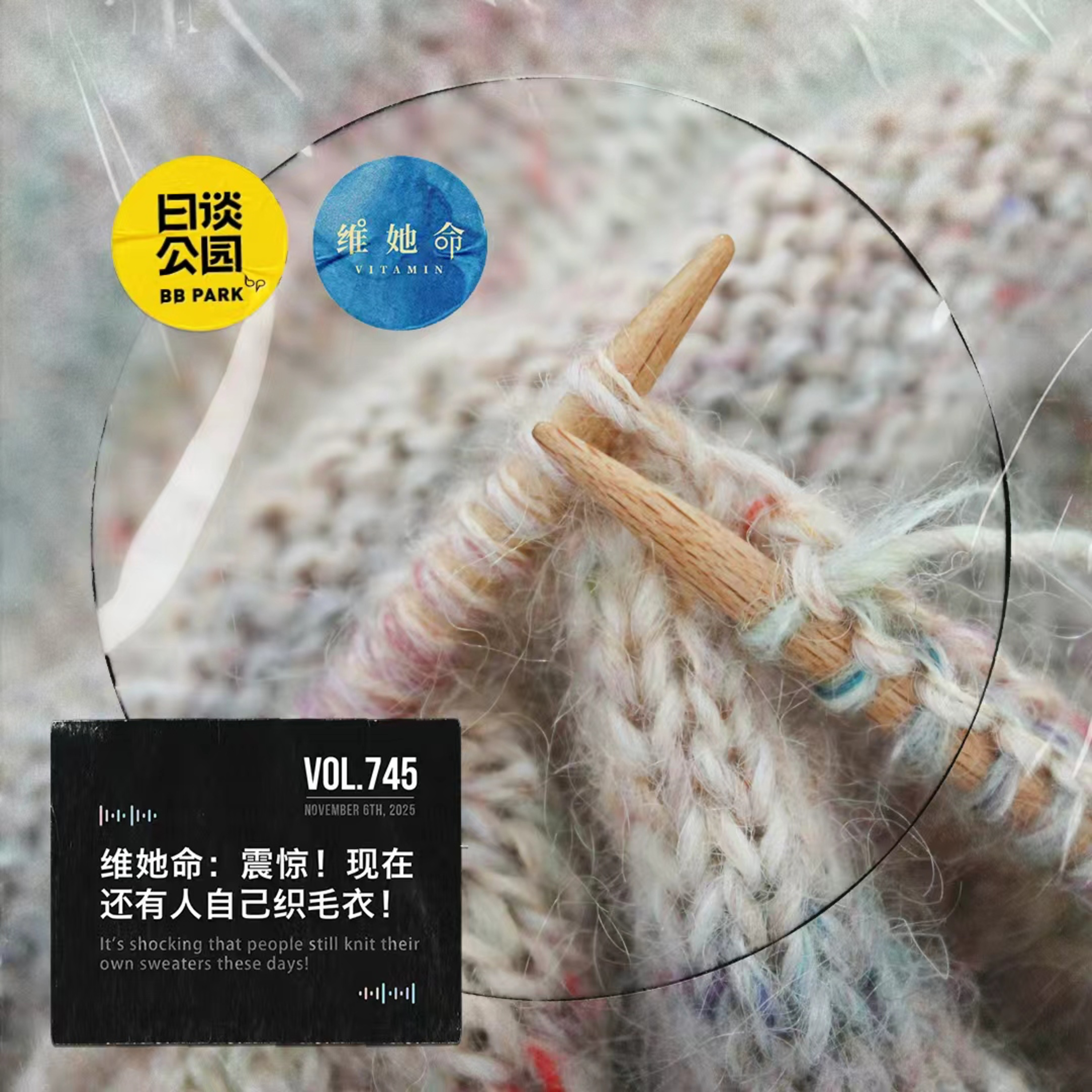 vol.745 维她命：震惊！现在还有人自己织毛衣！