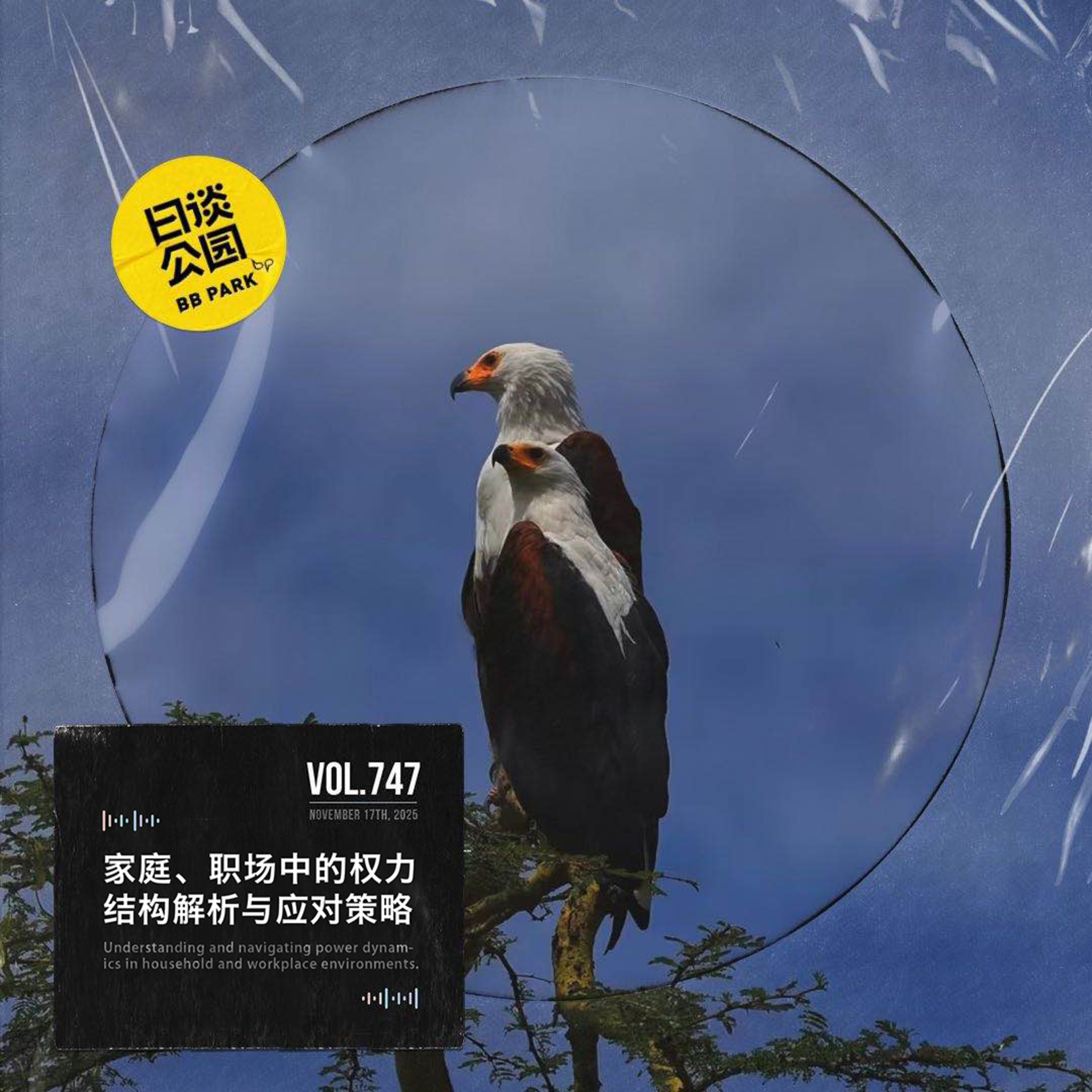 vol.747 家庭、职场中的权力结构解析与应对策略