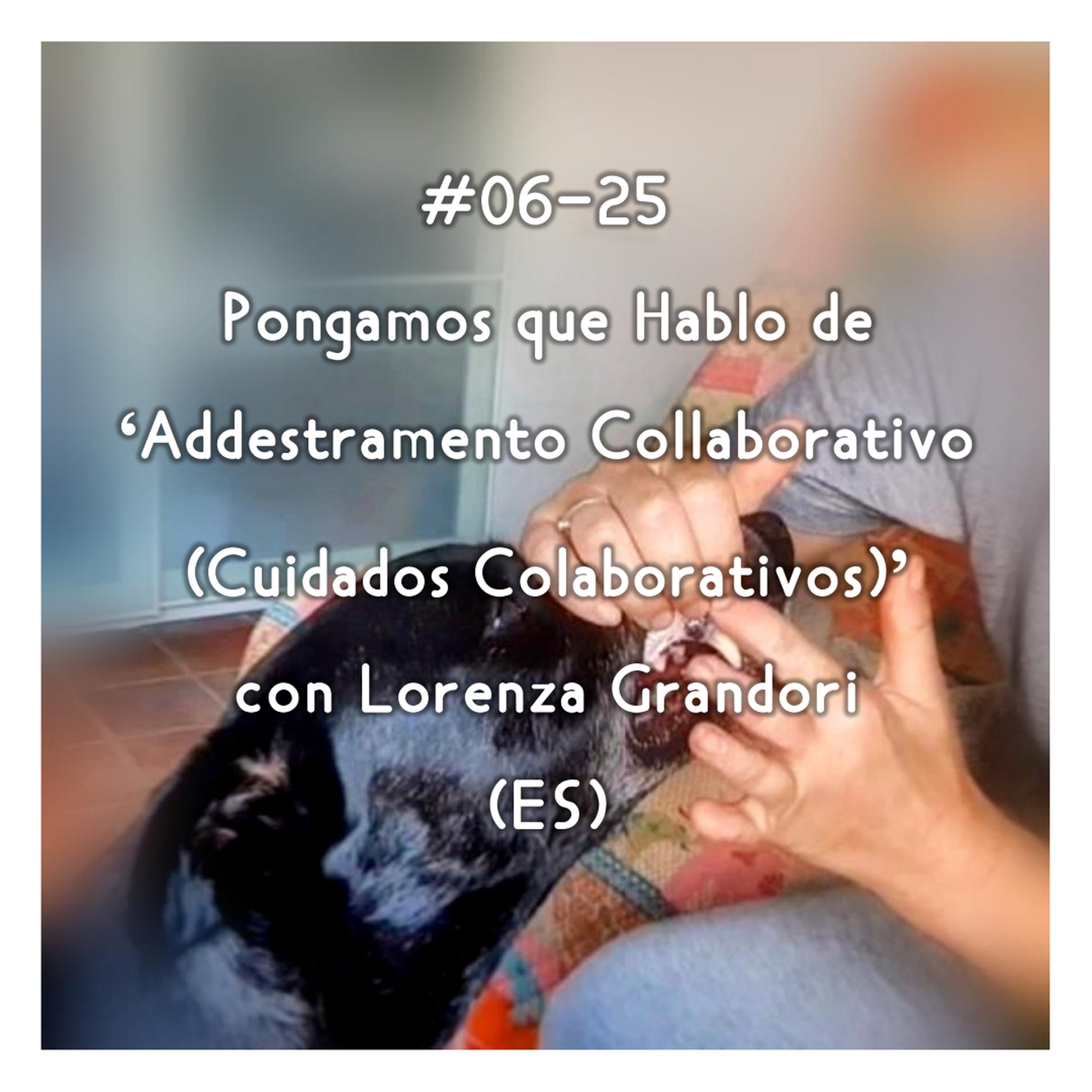 Pongamos que Hablo de Perros
