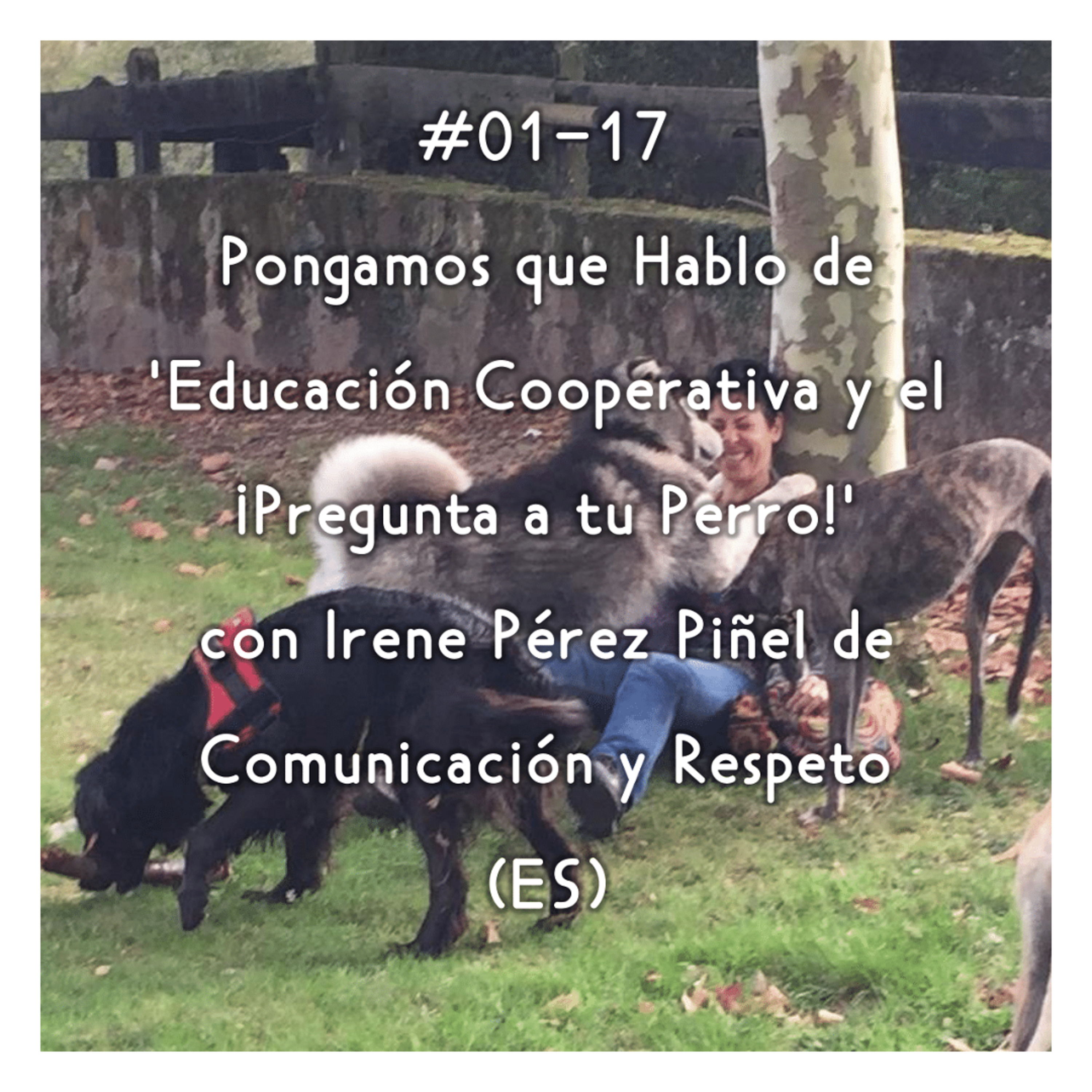 Pongamos que Hablo de Perros