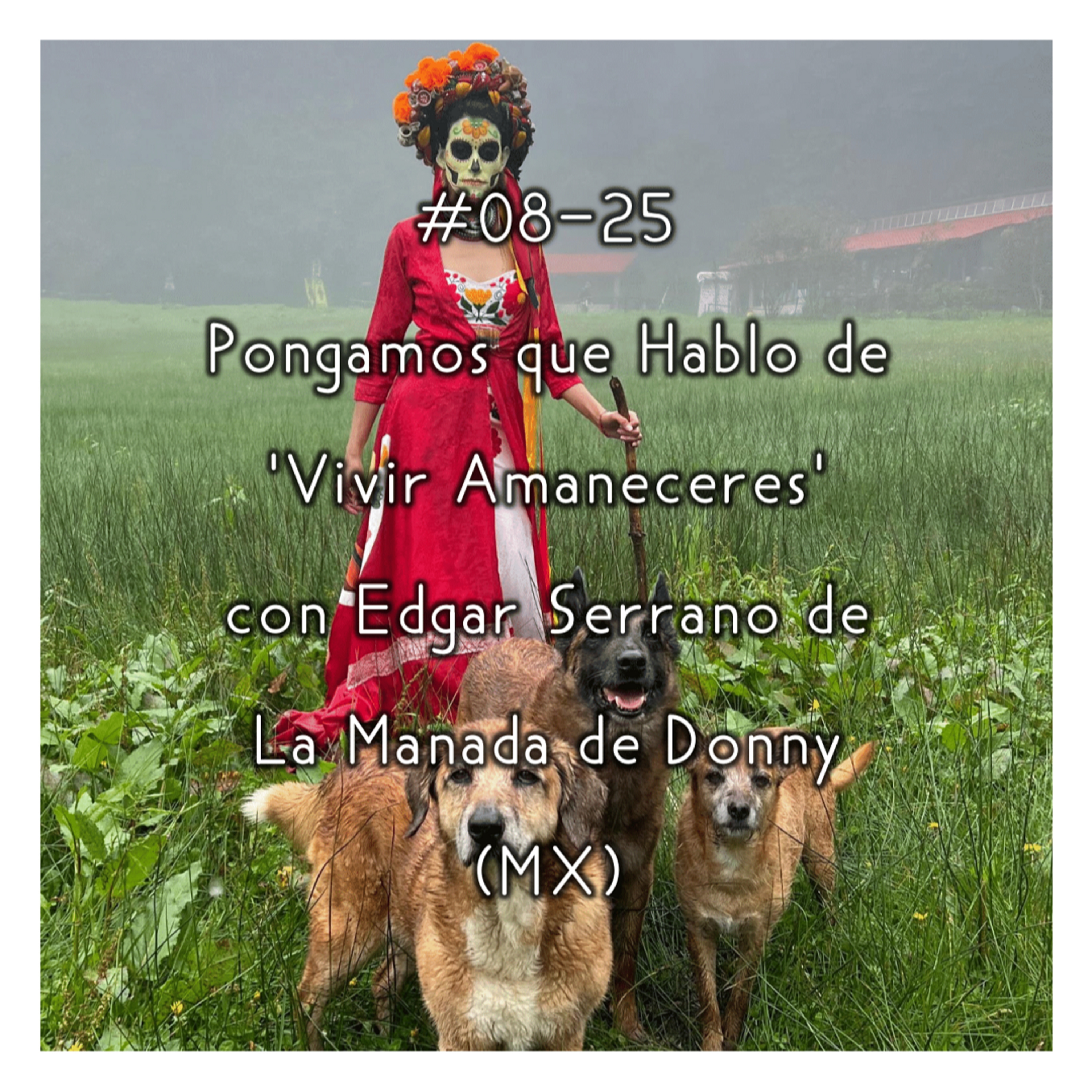 Pongamos que Hablo de Perros