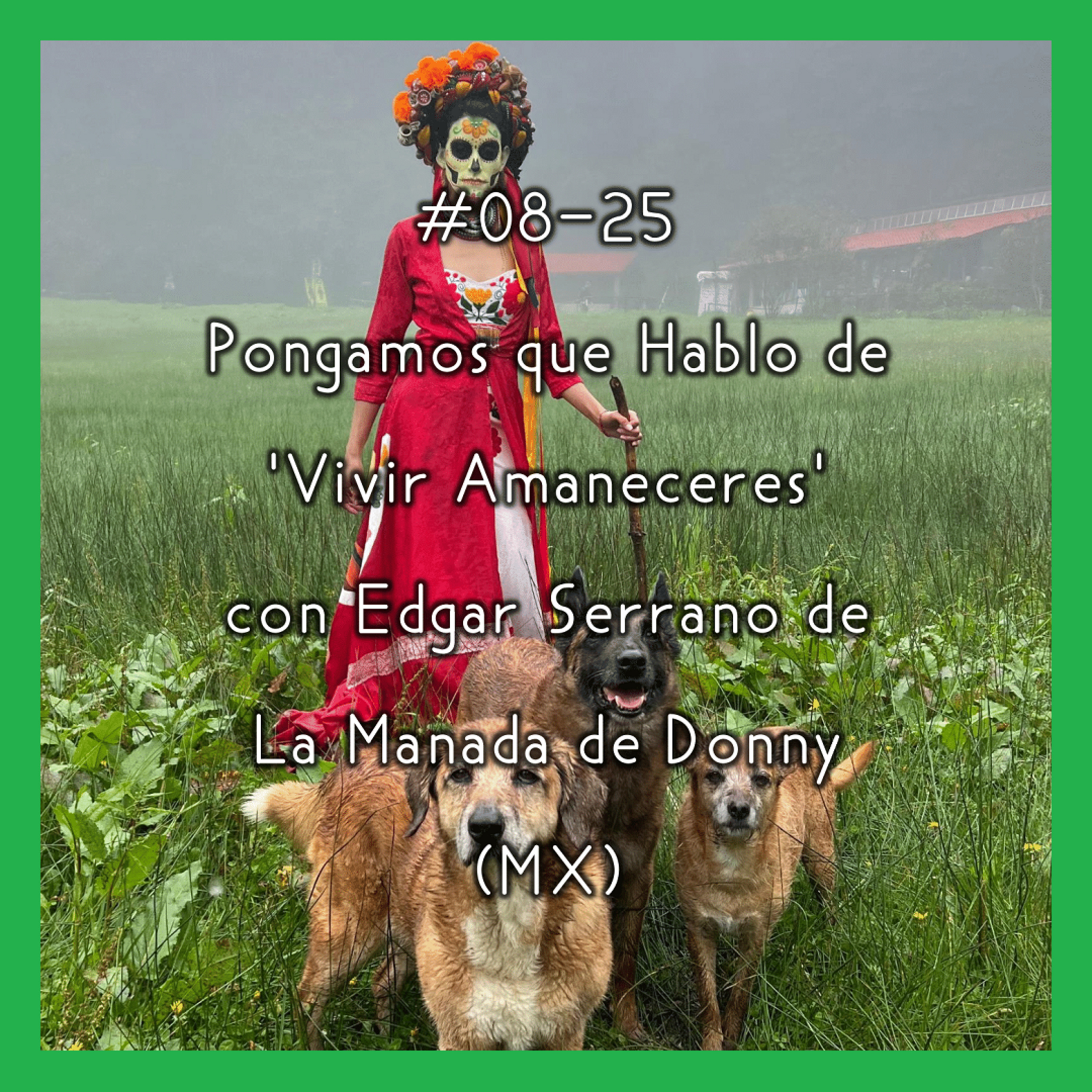 Pongamos que Hablo de Perros