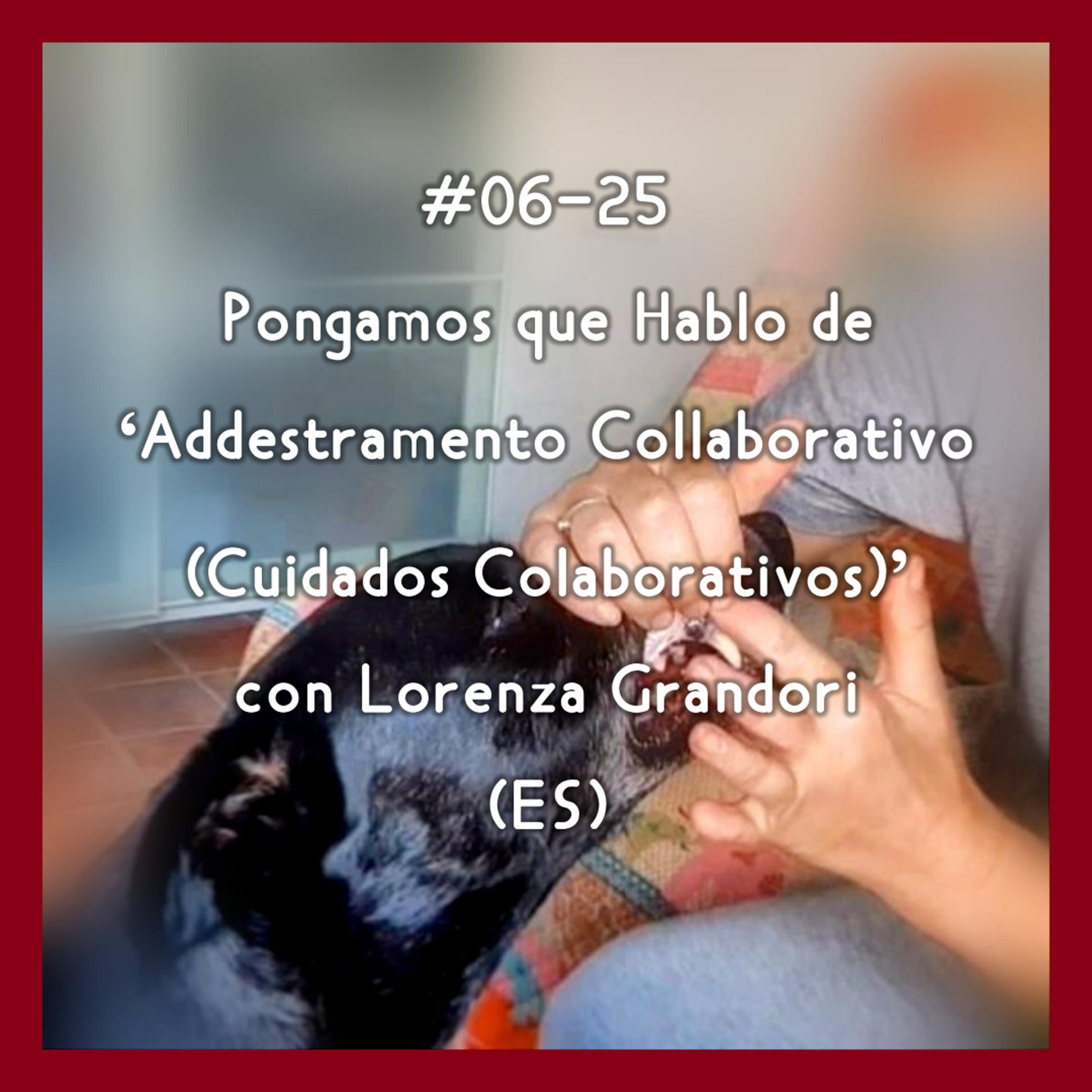 #06-25 - Pongamos que Hablo de 'Addestramento Collaborativo (Cuidados Colaborativos)' con Lorenza Grandori (ES) episode artwork