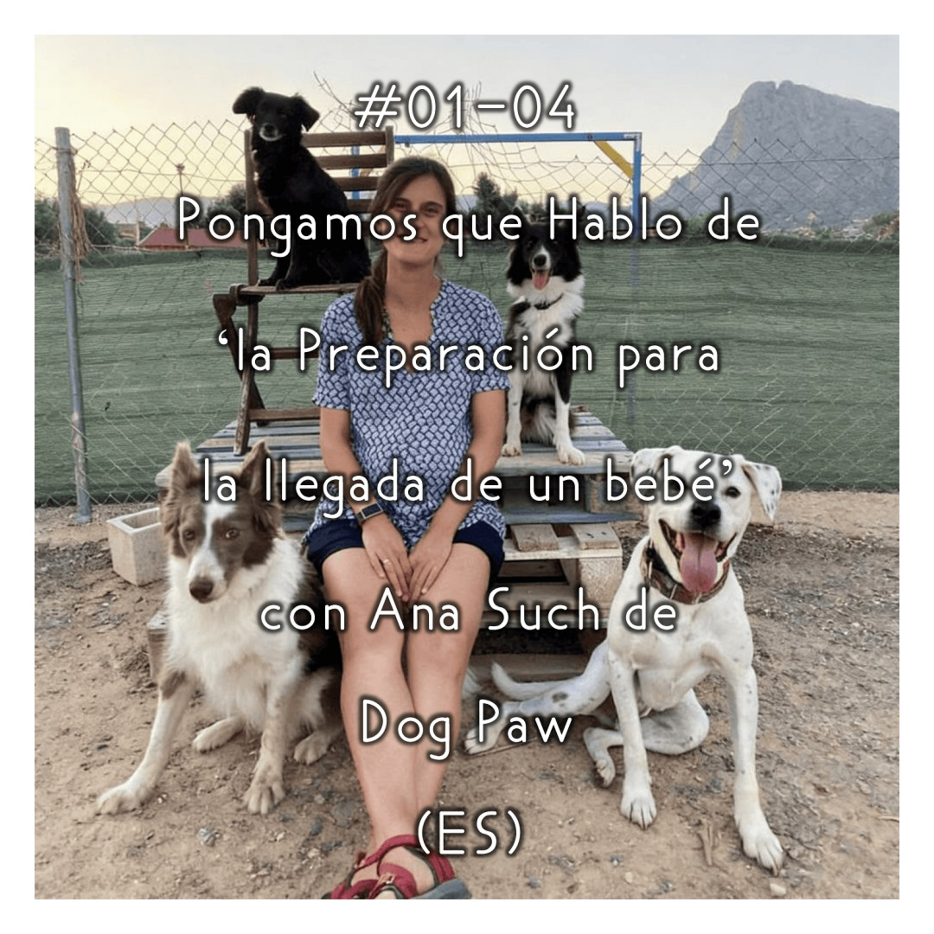 #01-04 - Pongamos que Hablo de 'la Preparación para la llegada de un Bebé' con Ana Such de Dog Paw (ES) episode artwork